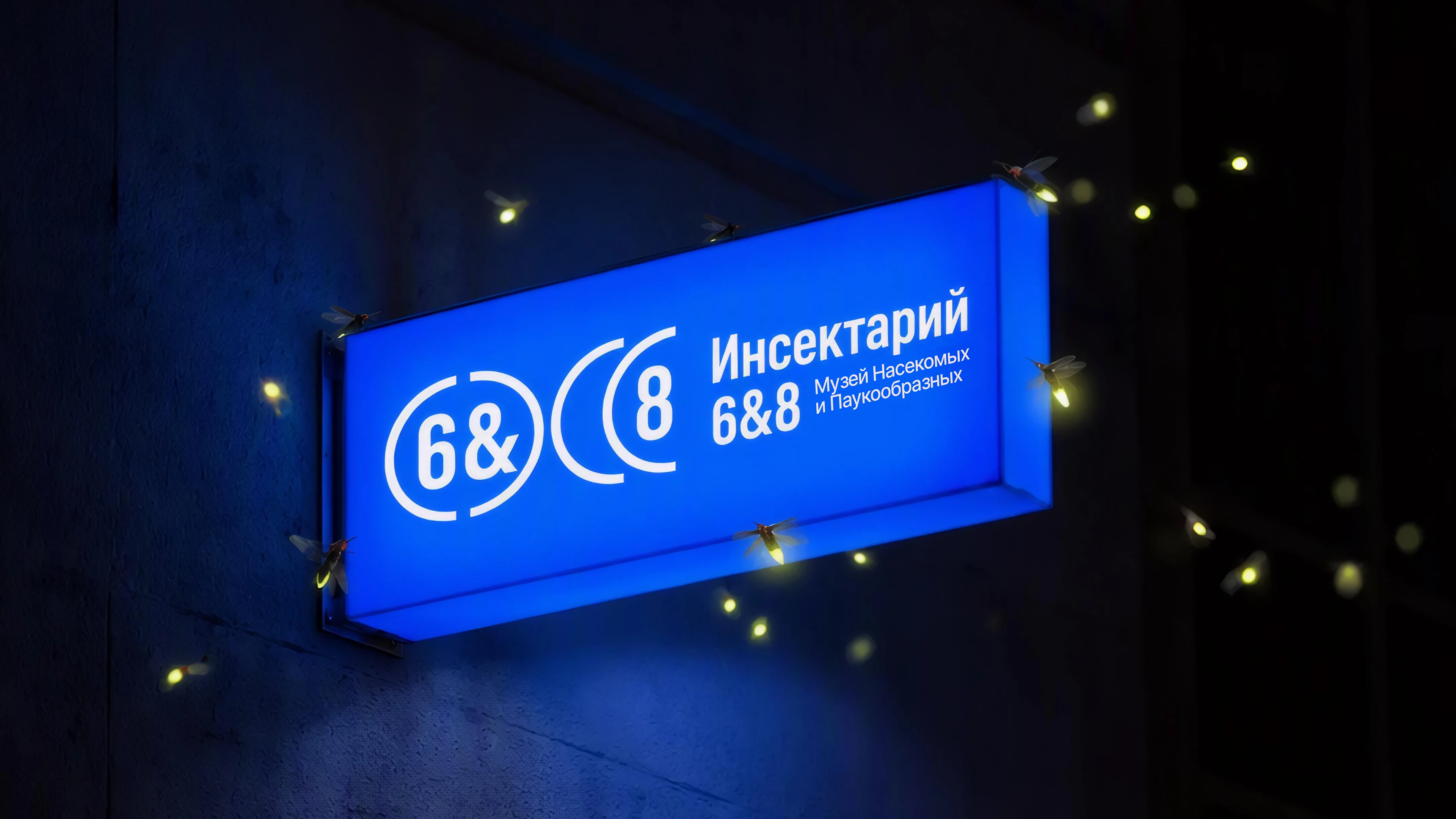 Айдентика для музея насекомых — Изображение №6 — Брендинг на Dprofile
