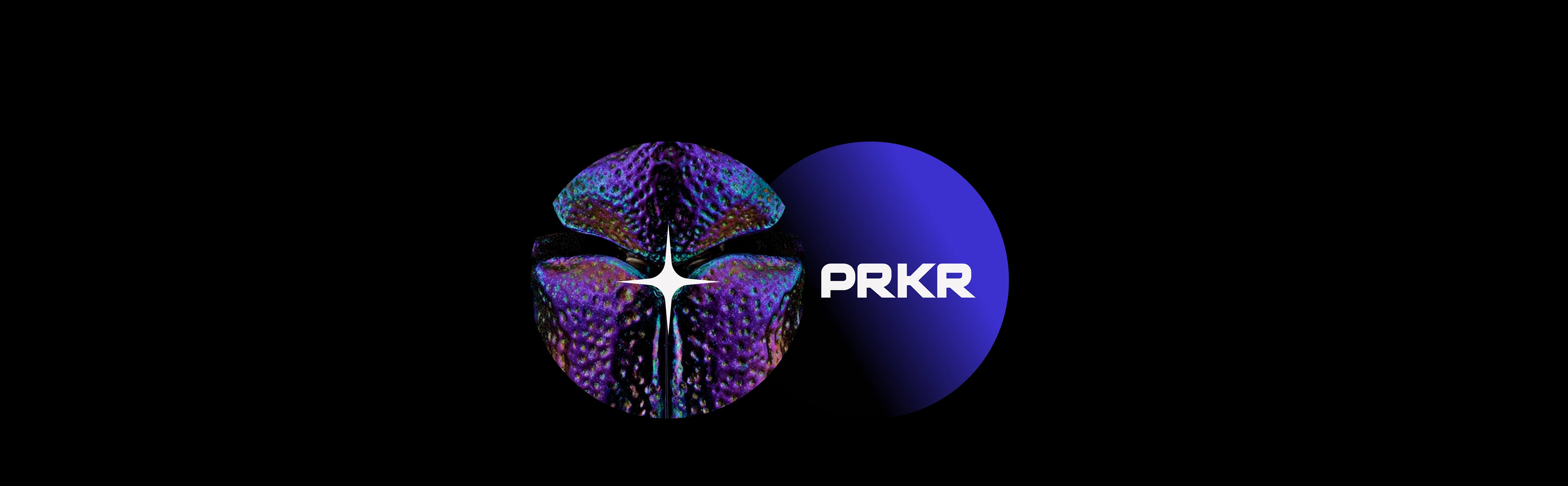 Айдентика для музея насекомых — Изображение №27 — Брендинг на Dprofile