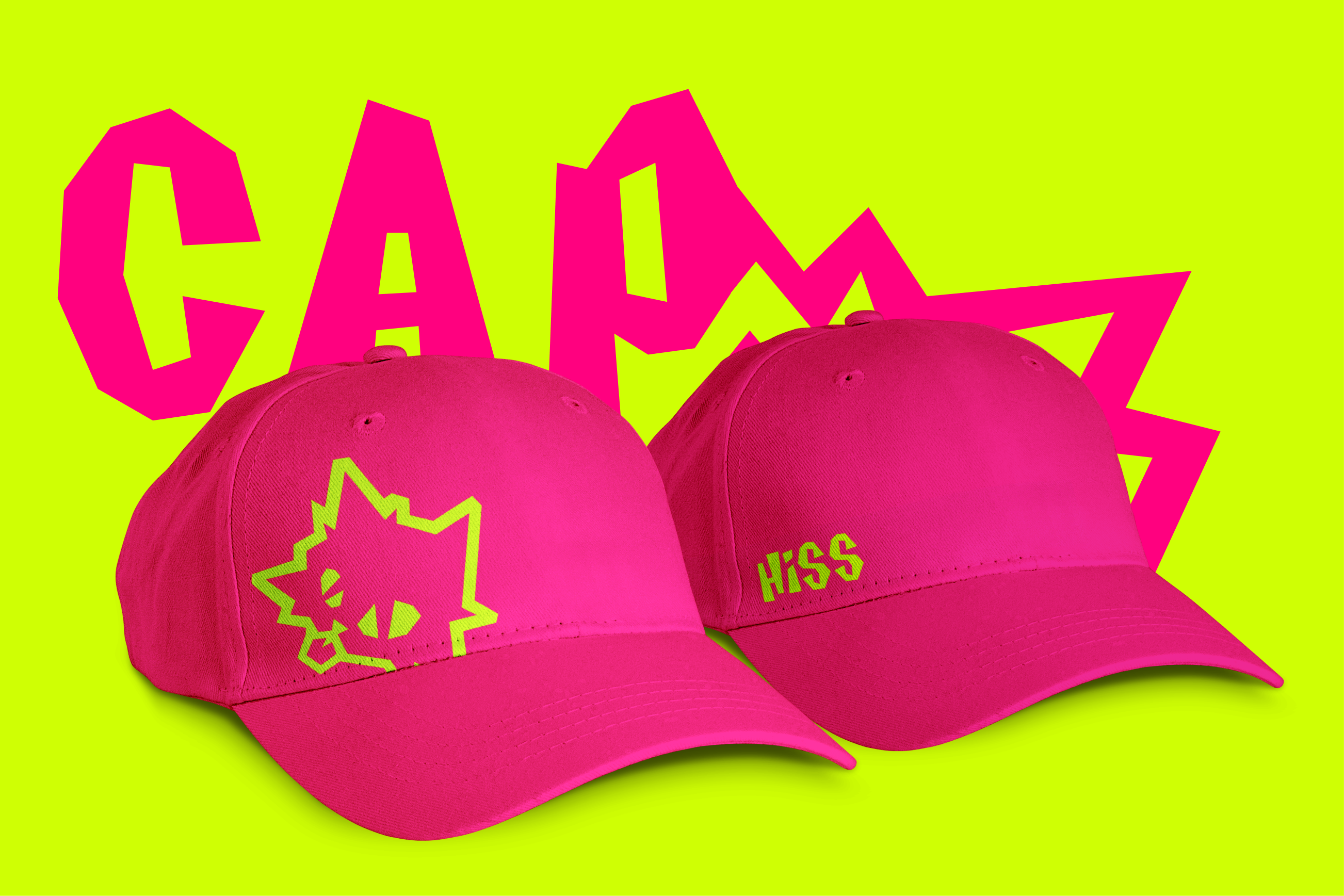 Hiss / Брендинг газированных напитков — Изображение №22 — Интерфейсы, Брендинг на Dprofile