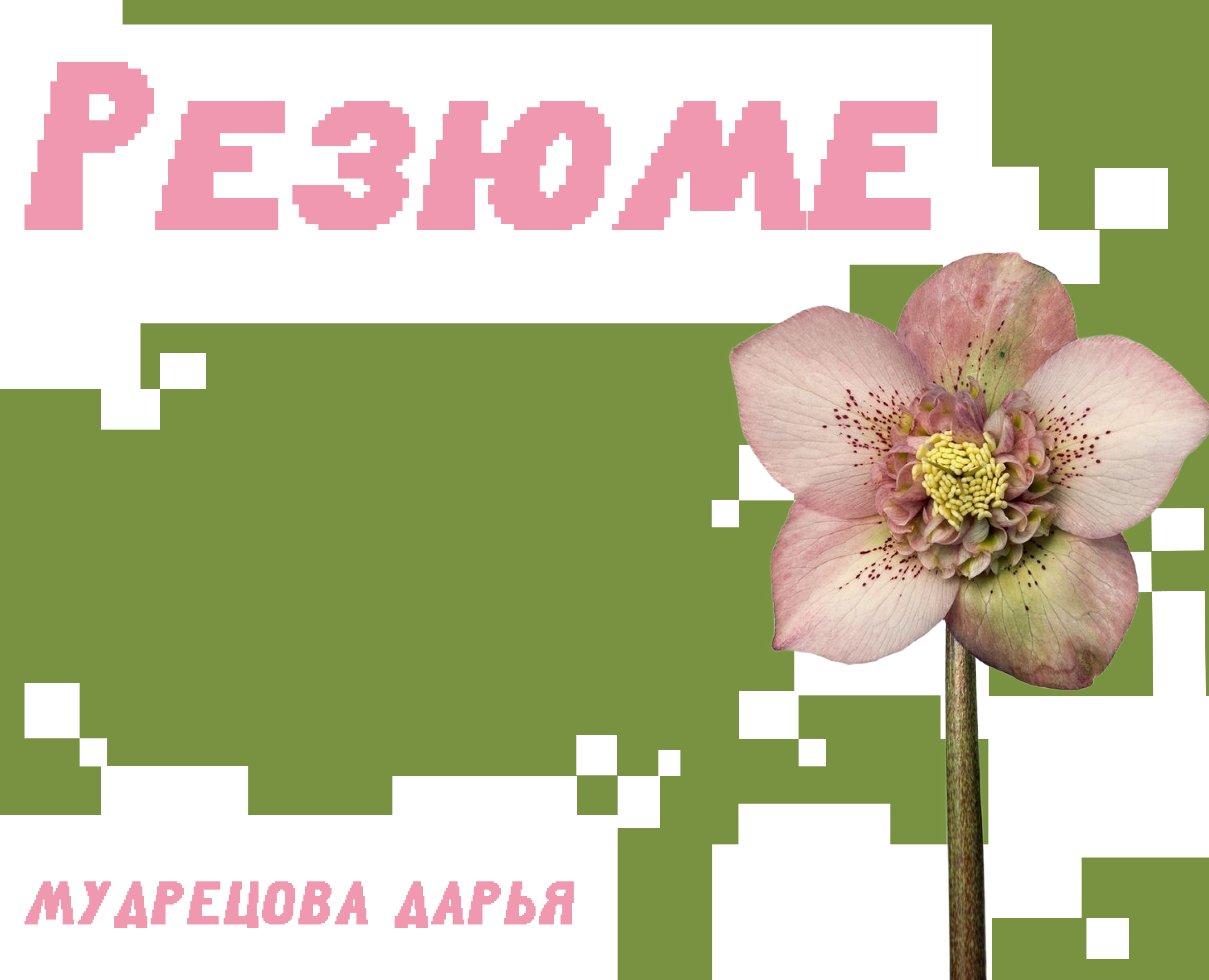 Резюме на Dprofile