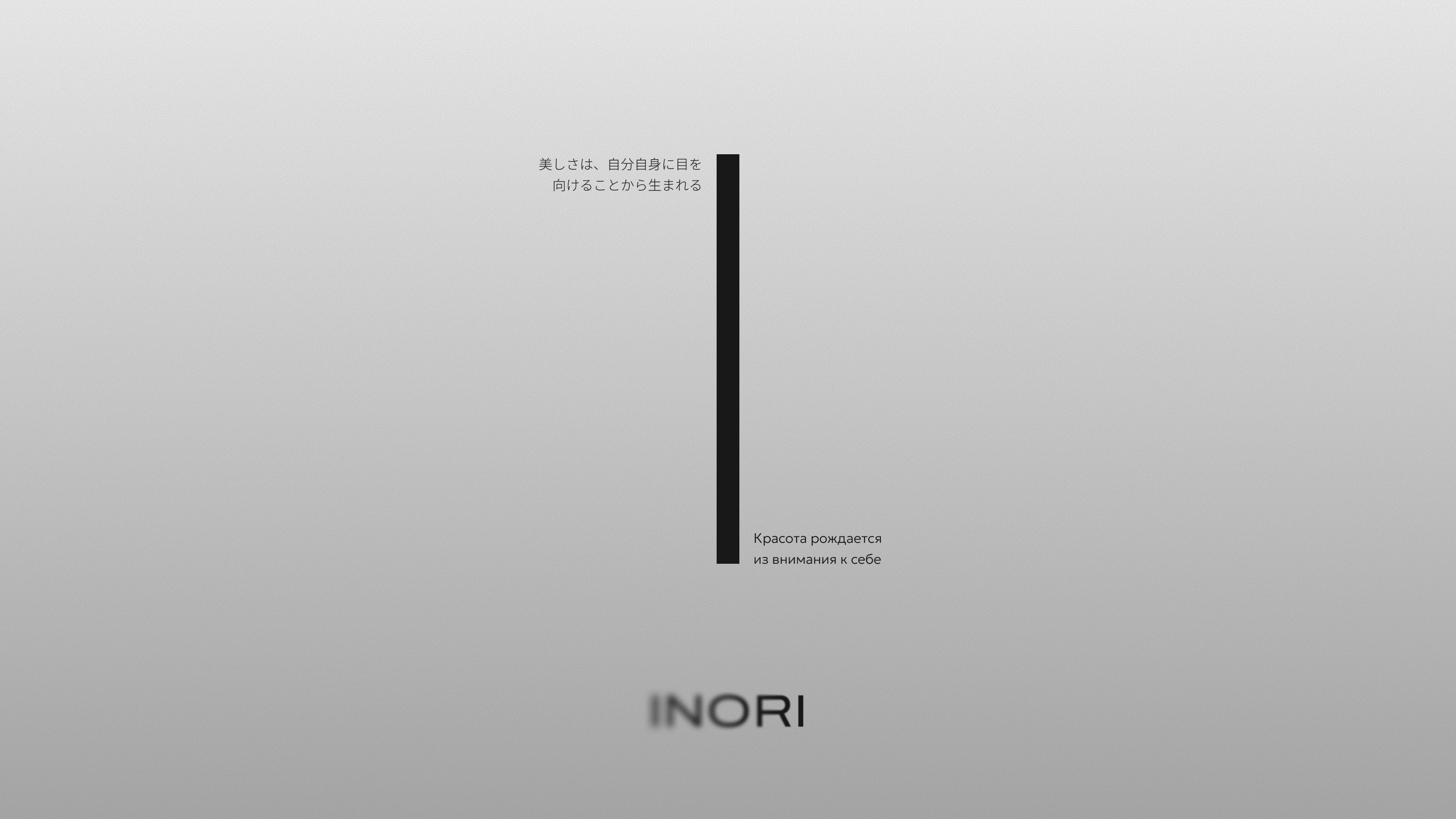 INORI — Изображение №15 — Брендинг, 3D на Dprofile