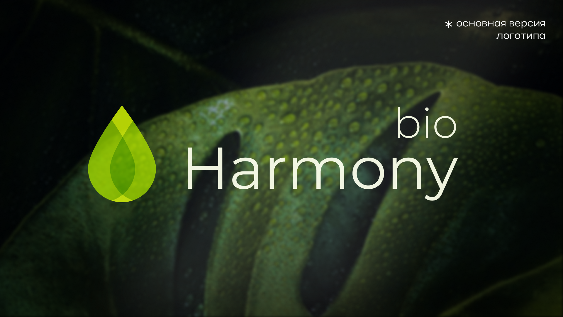 ПОРТФОЛИО.2026 — Изображение №17 — Брендинг, Графика на Dprofile