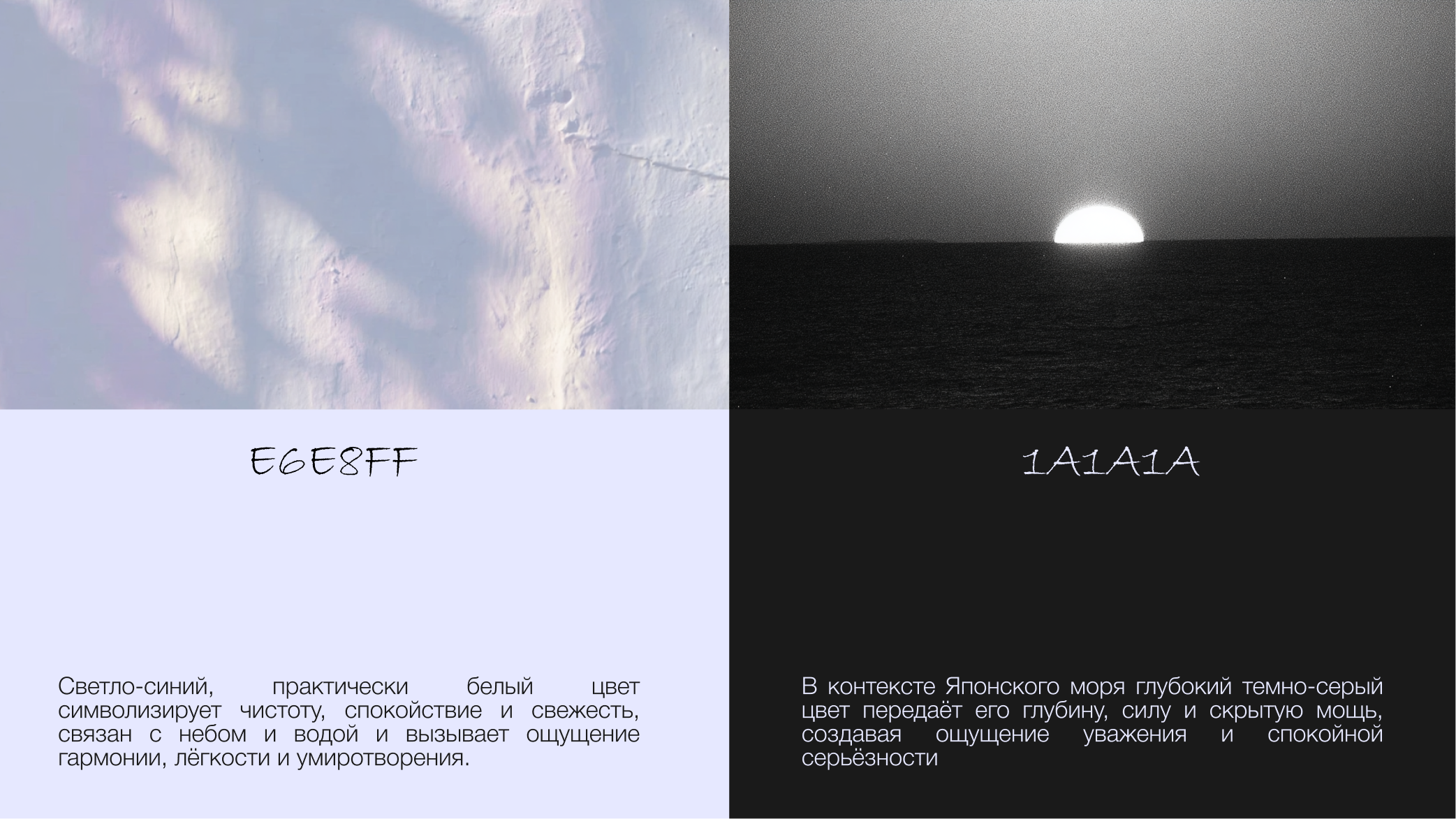 pan&sakana — Изображение №4 — Брендинг, Графика на Dprofile