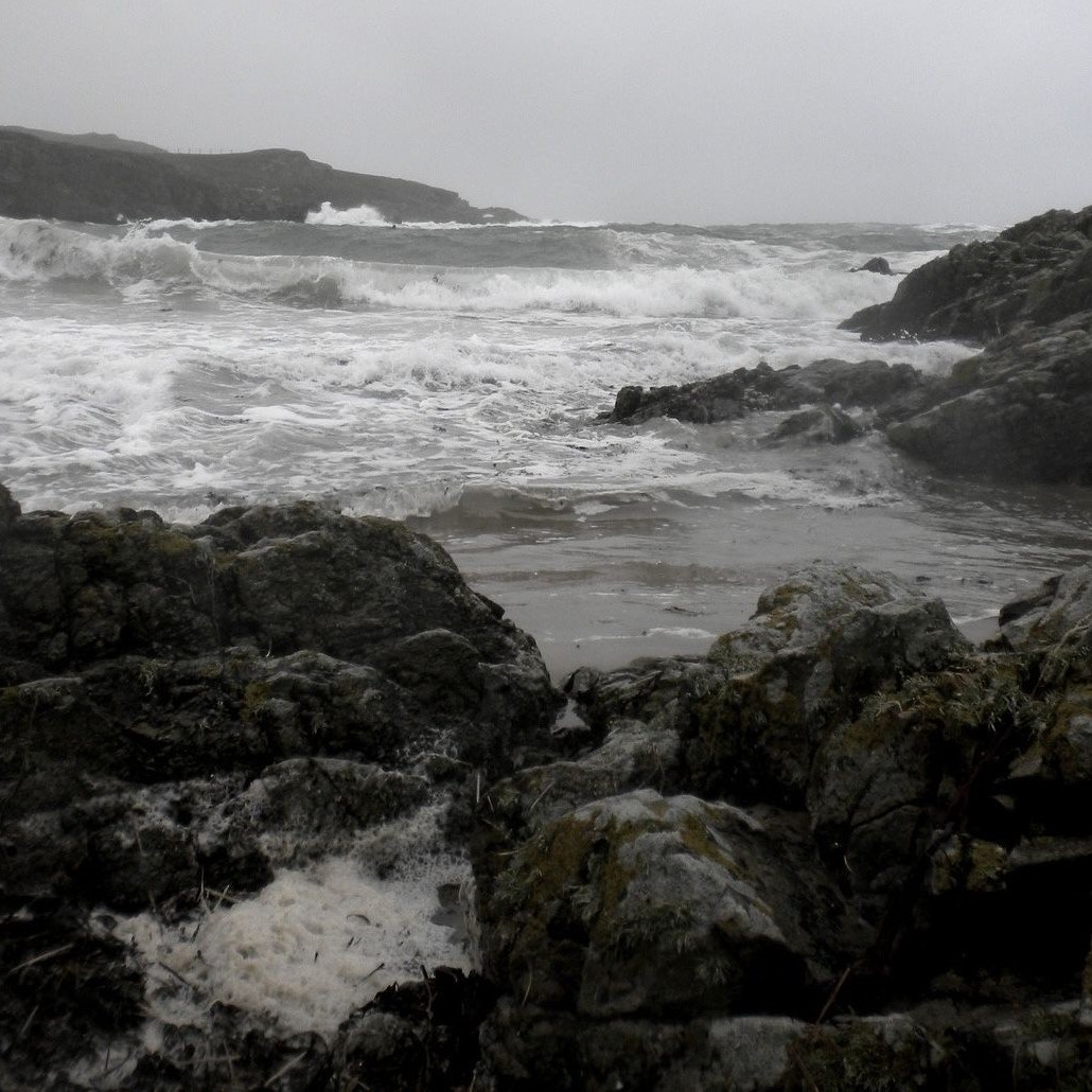 Аватар пользователя KIM MD