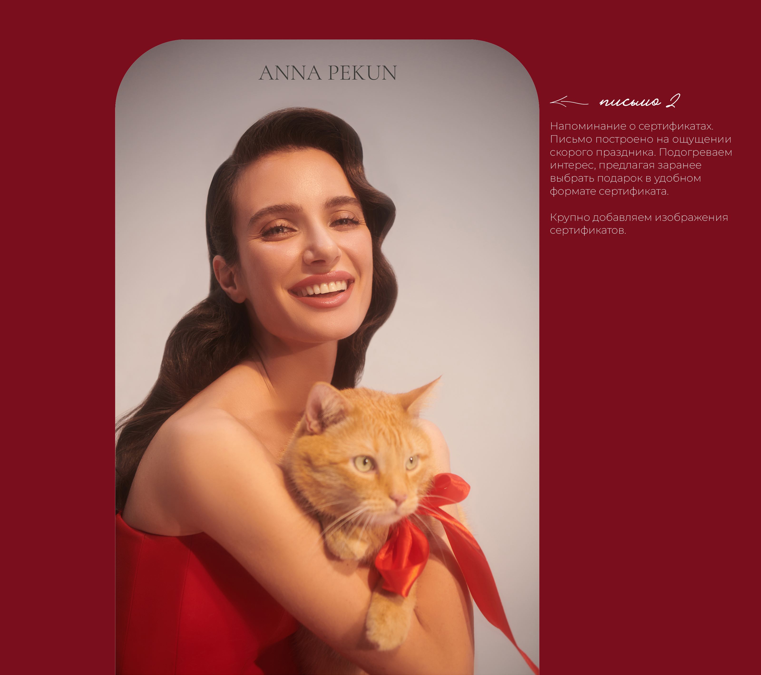 e-mail рассылка для бренда женской одежды ANNA PEKUN — Изображение №2 — Интерфейсы, Графика на Dprofile
