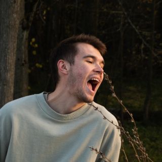 Аватар пользователя Andrey Svechnikov