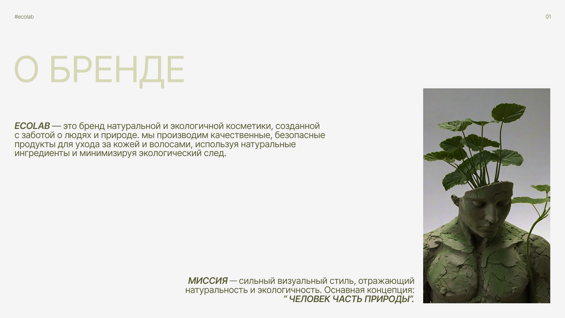 Фирменный стиль для бренда косметики — Изображение №2 — Брендинг на Dprofile