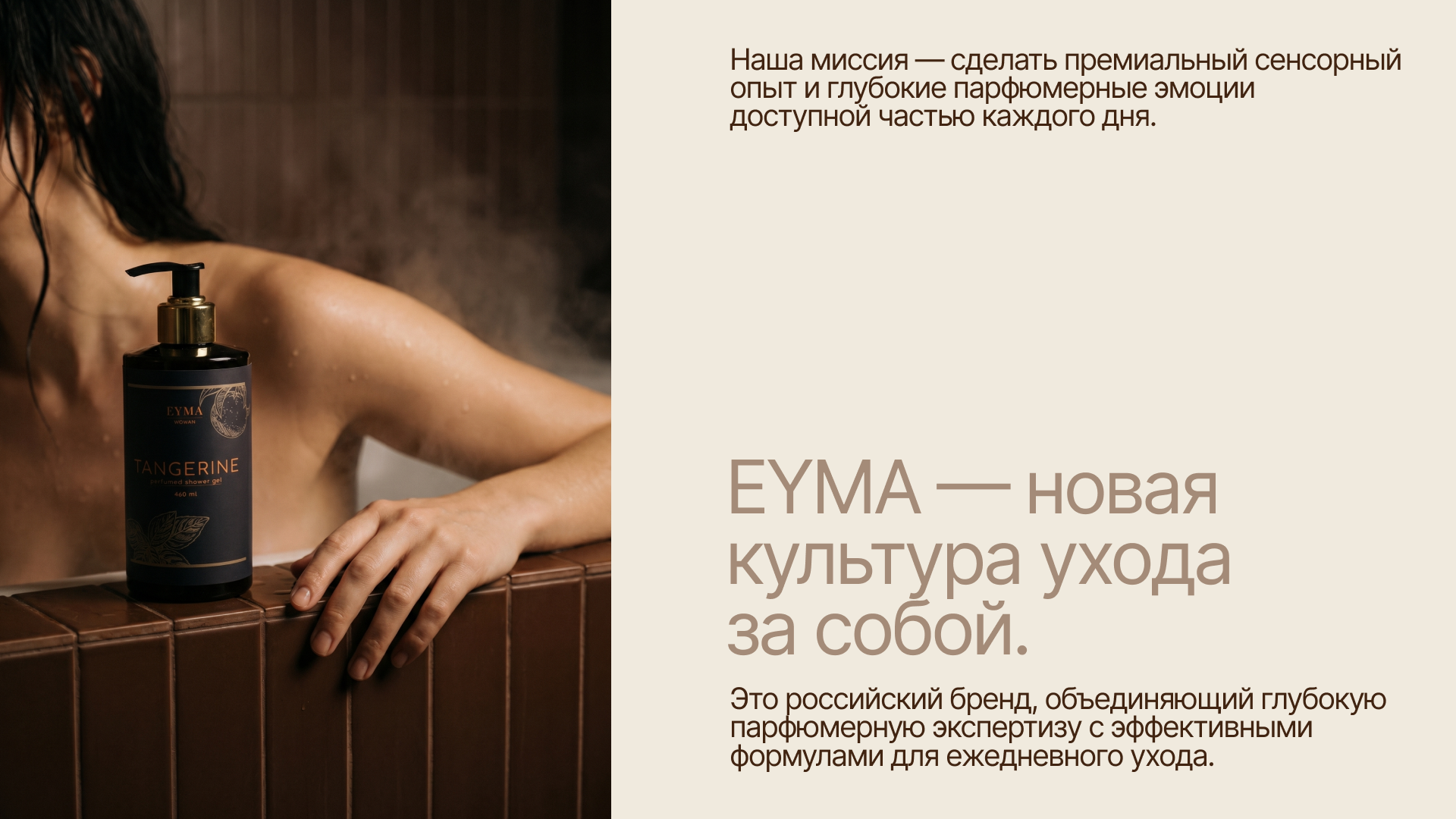 Разработка коммерческого предложения — Изображение №2 — Брендинг, Графика на Dprofile