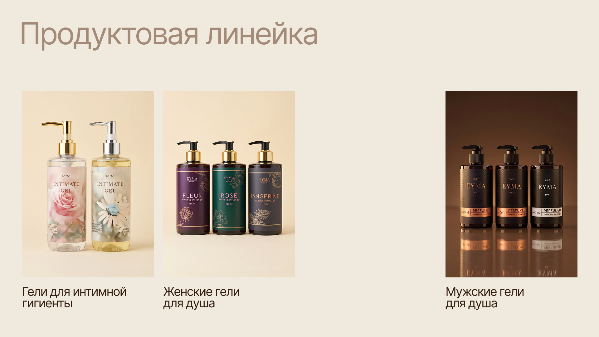 Разработка коммерческого предложения — Изображение №4 — Брендинг, Графика на Dprofile