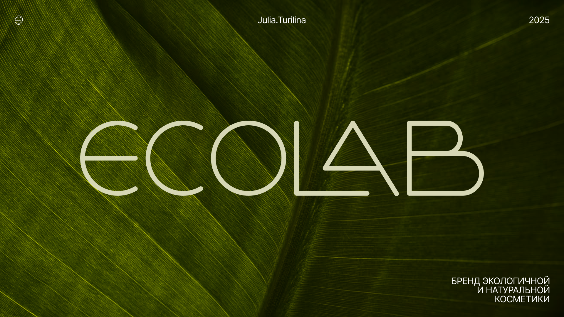 Фирменный стиль для бренда косметики — Изображение №1 — Брендинг на Dprofile