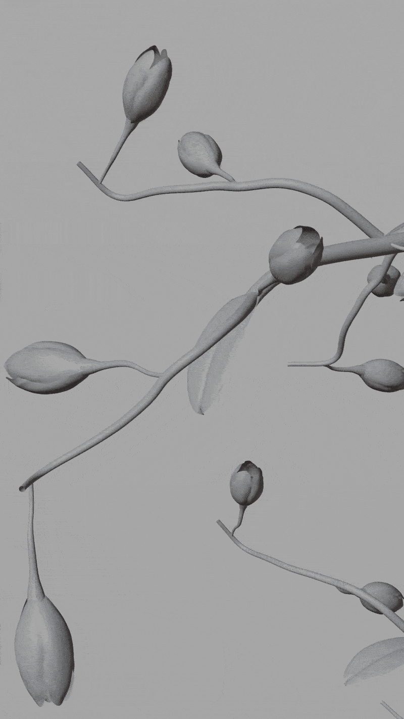 ANOTHER 13 • 3D АНИМАЦИЯ ПАРФЮМА — Изображение №8 — 3D, Анимация на Dprofile