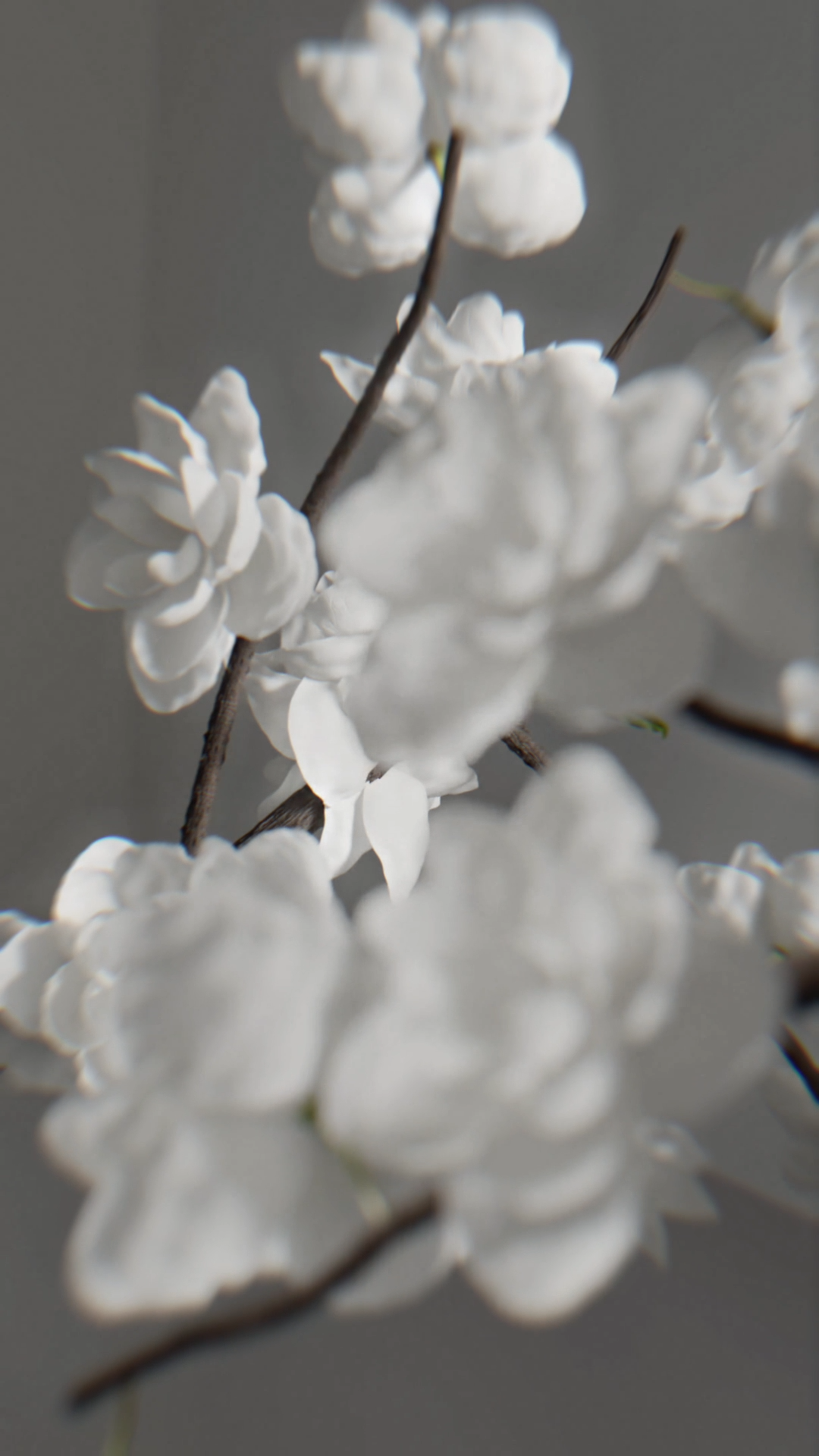 ANOTHER 13 • 3D АНИМАЦИЯ ПАРФЮМА — Изображение №2 — 3D, Анимация на Dprofile