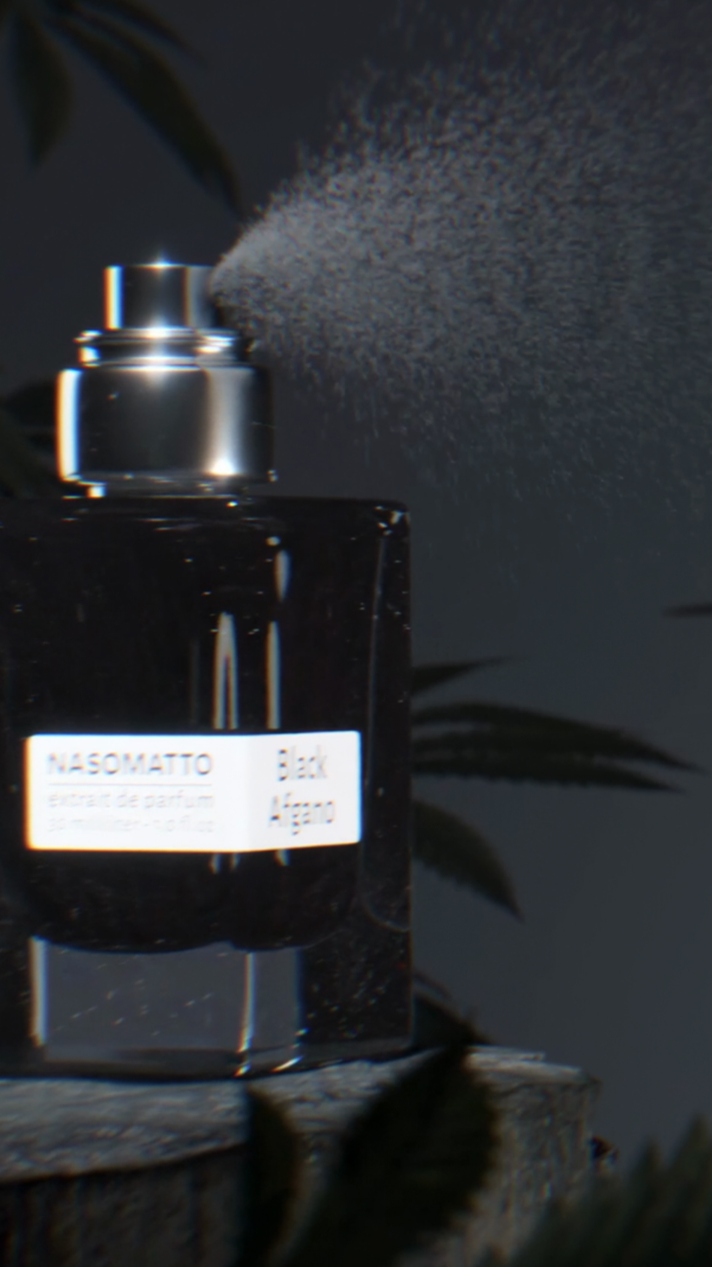 BLACK AFGANO • 3D АНИМАЦИЯ ПАРФЮМА — Изображение №4 — 3D, Анимация на Dprofile