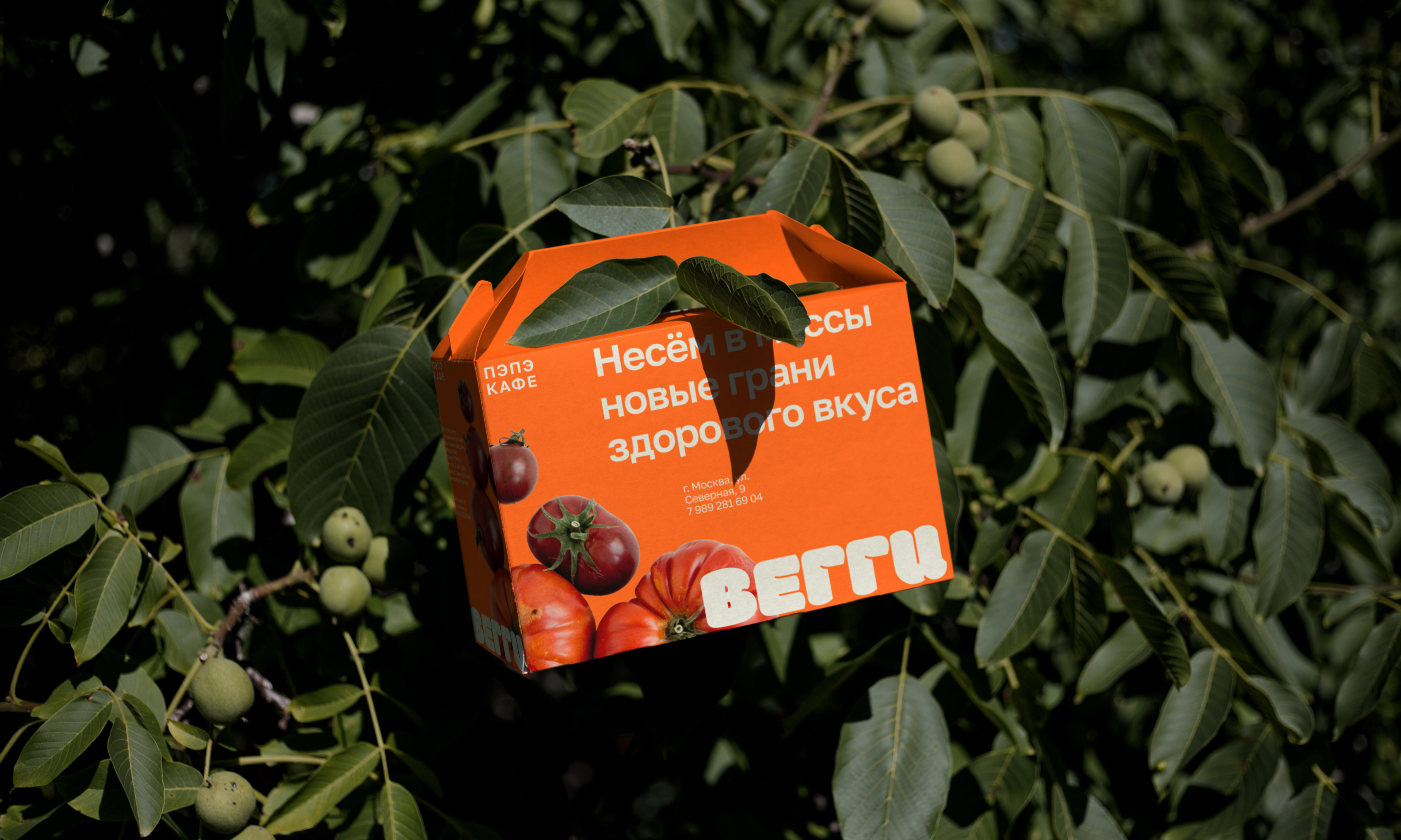 ВЕГГИ/ КАФЕ ЗДОРОВОГО ПИТАНИЯ / VISUAL IDENTITY — Изображение №1 — Брендинг на Dprofile