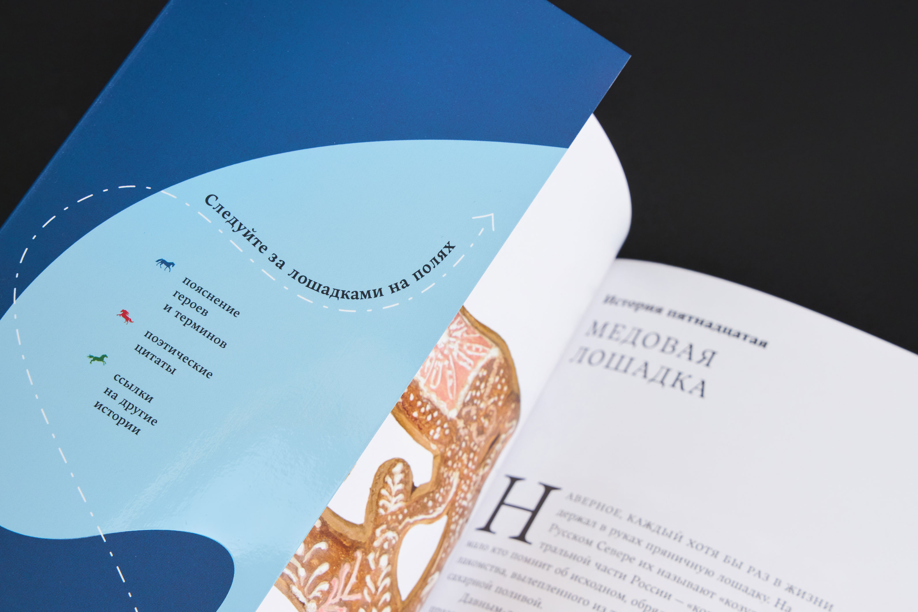 Книга 28 историй о лошадях — Изображение №4 — Графика на Dprofile