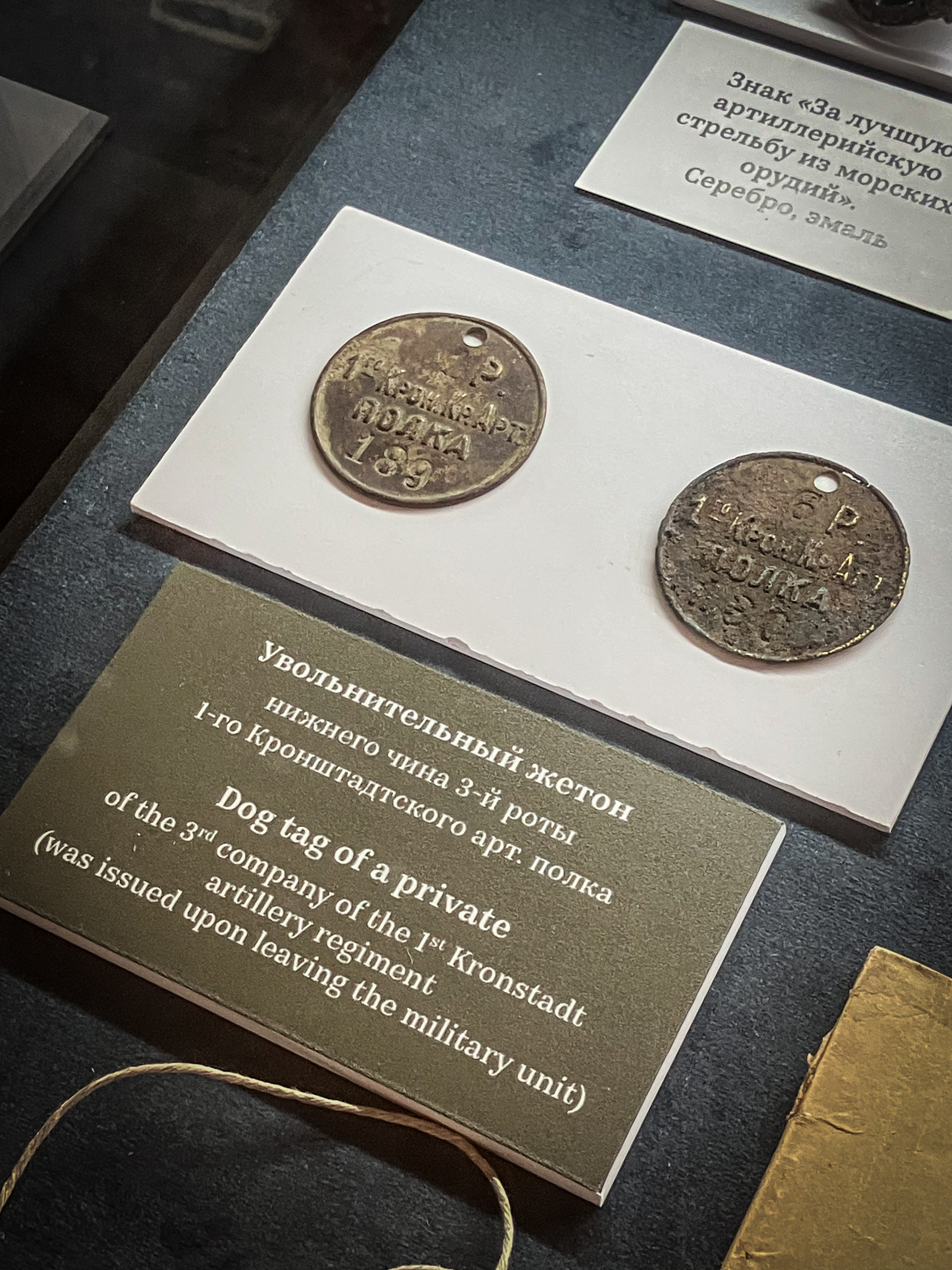 Выставка «Стражи Рифа» — Изображение №11 — Брендинг, Графика на Dprofile