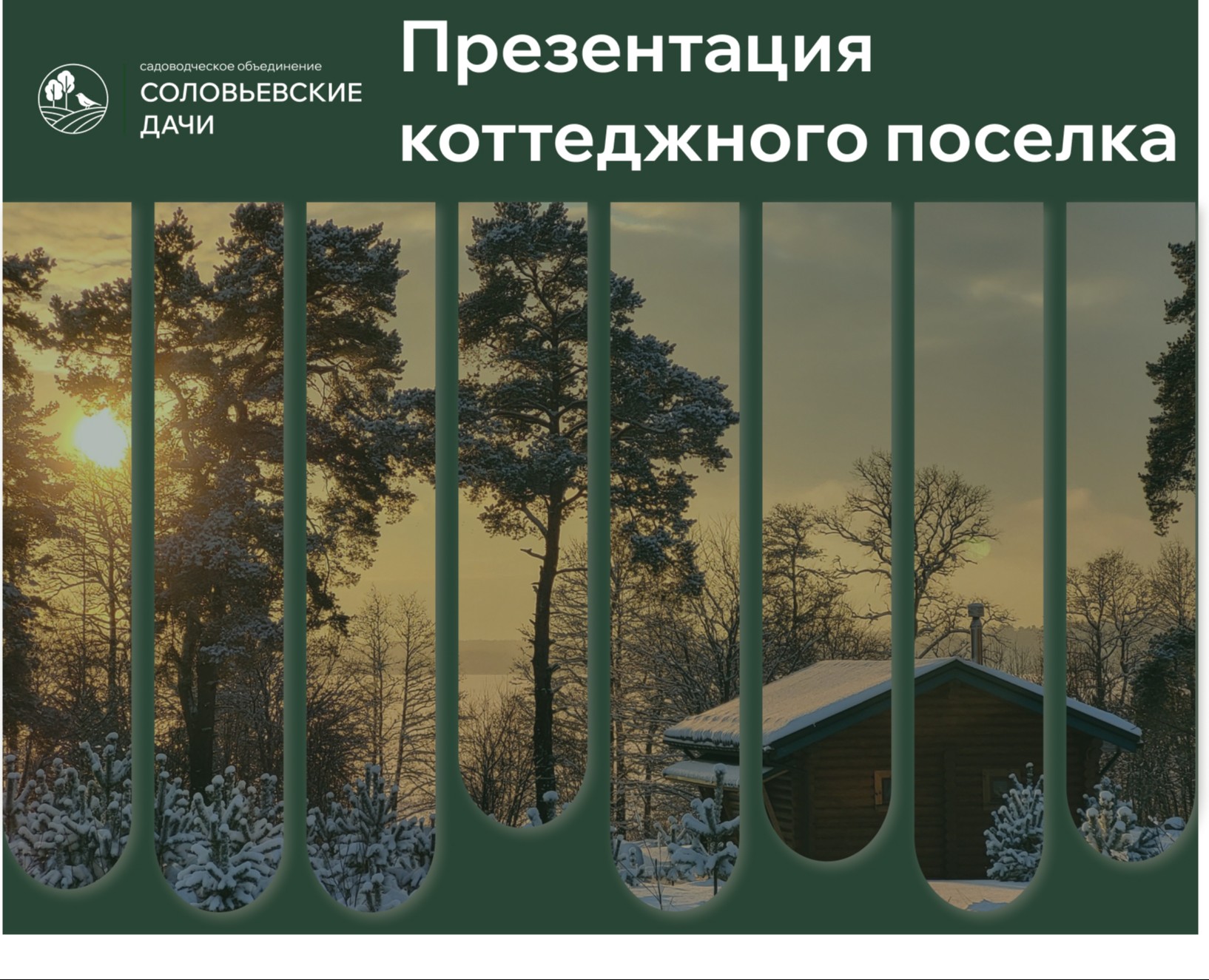 Презентация итогов периода СНТ — Графика, Маркетинг на Dprofile