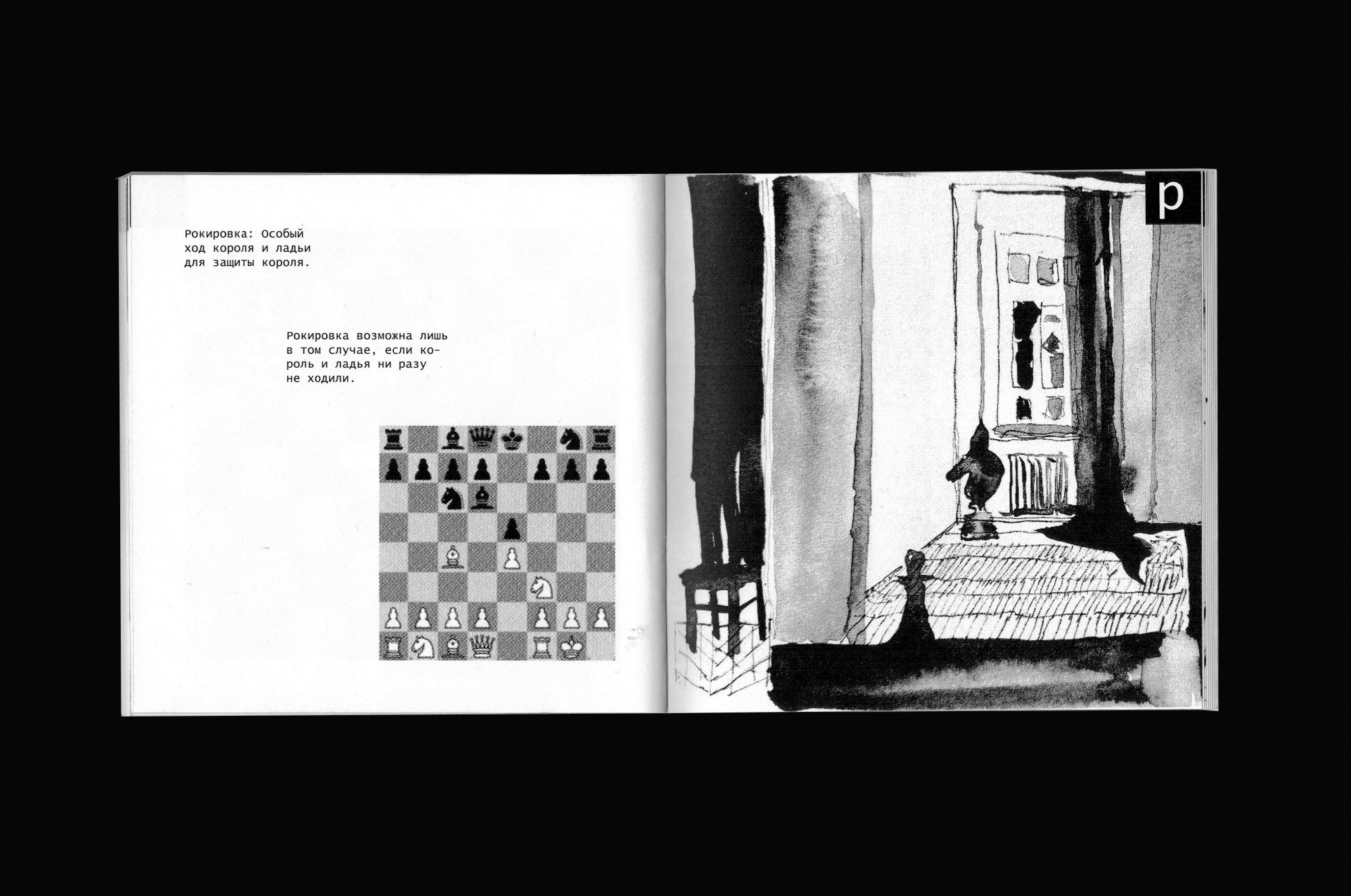 Зин «Словарь шахматных терминов» — Изображение №12 — Иллюстрация, Графика на Dprofile