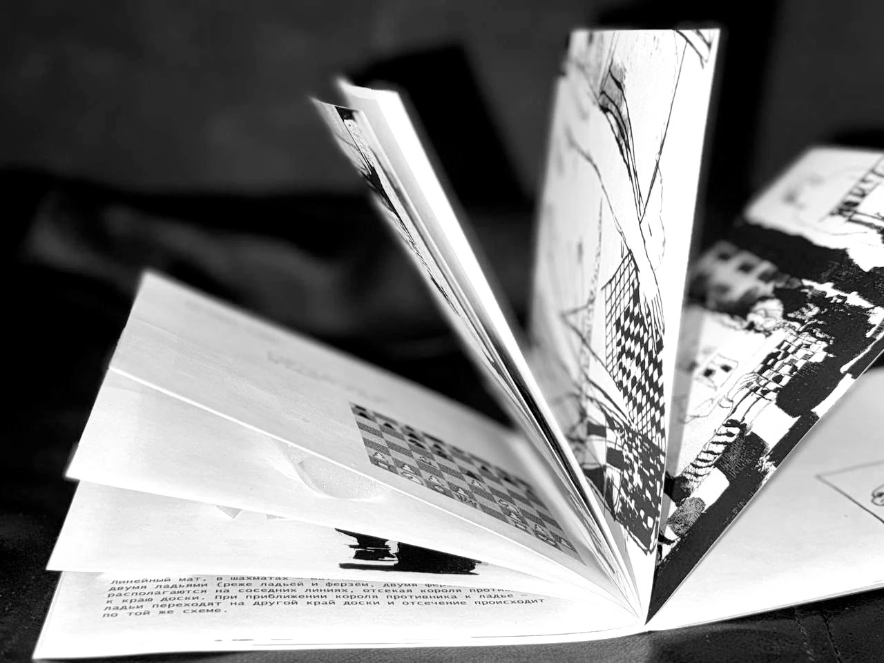 Зин «Словарь шахматных терминов» — Изображение №17 — Иллюстрация, Графика на Dprofile