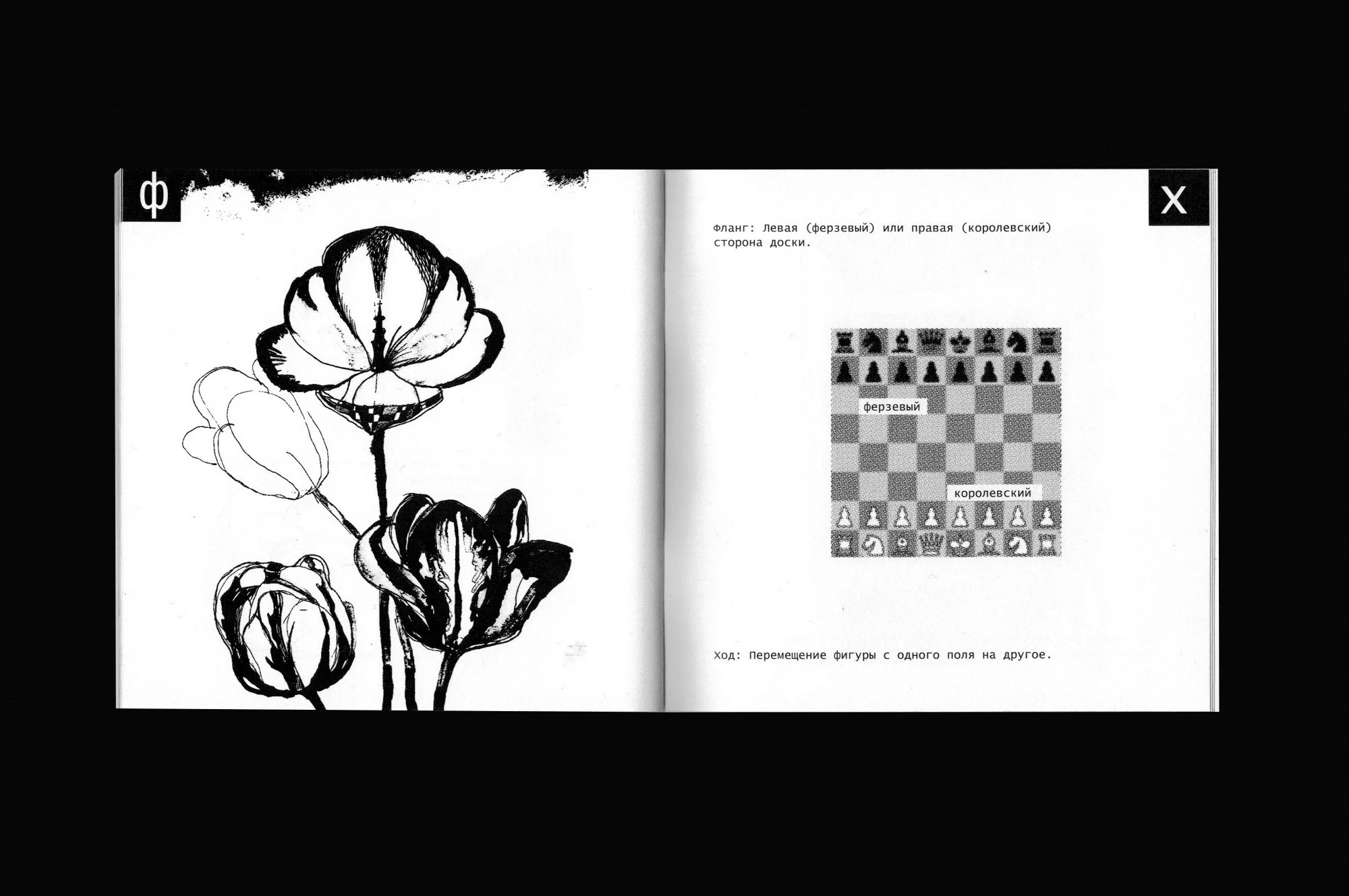 Зин «Словарь шахматных терминов» — Изображение №18 — Иллюстрация, Графика на Dprofile