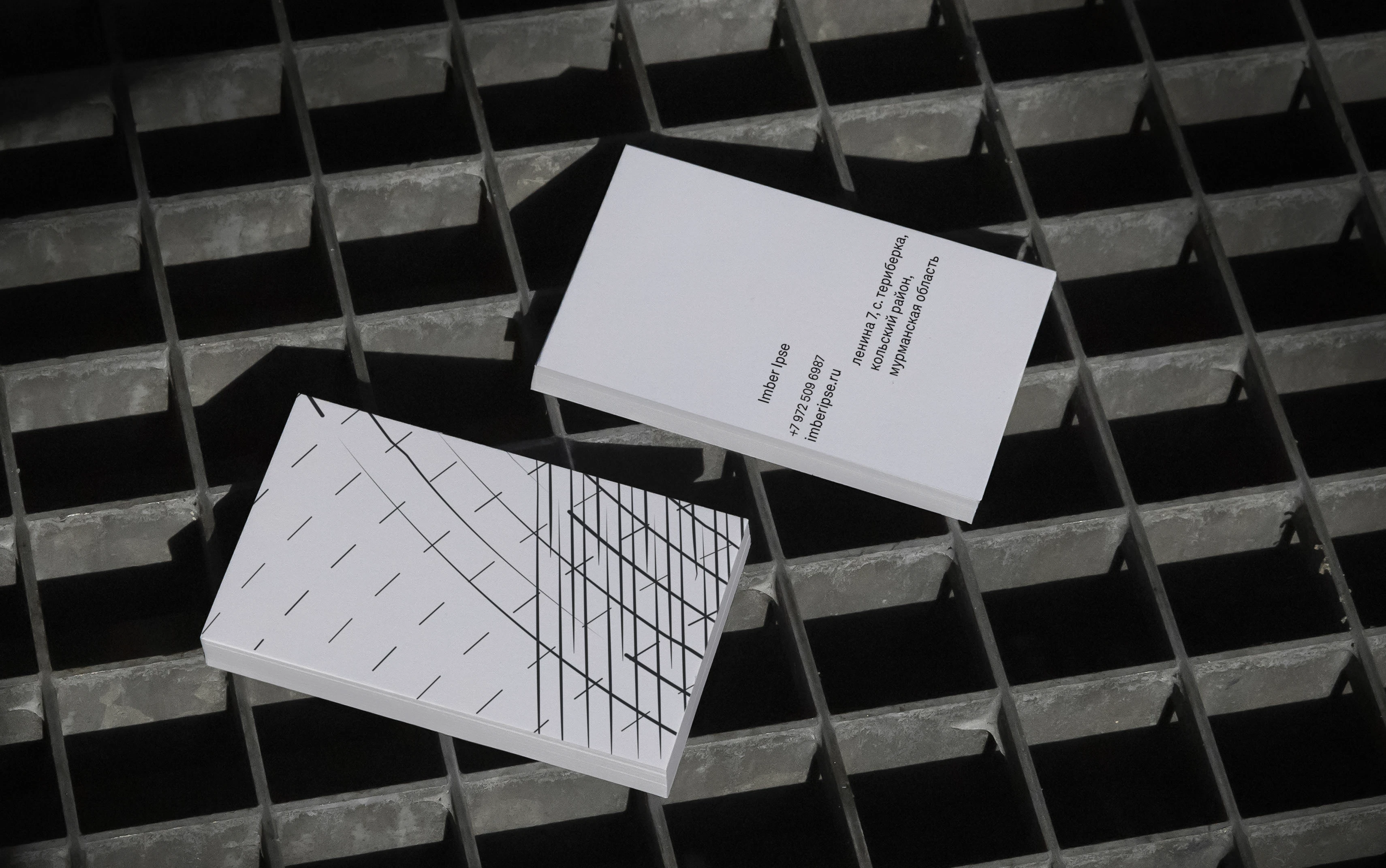 Imber Ipse lab — Изображение №6 — Брендинг, Графика на Dprofile