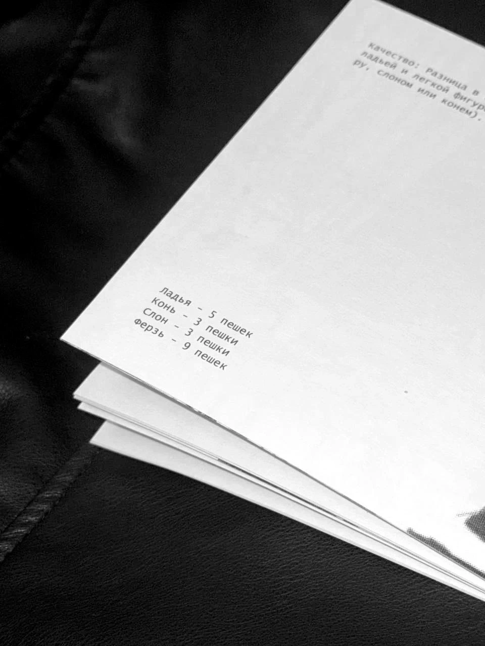 Зин «Словарь шахматных терминов» — Изображение №8 — Иллюстрация, Графика на Dprofile