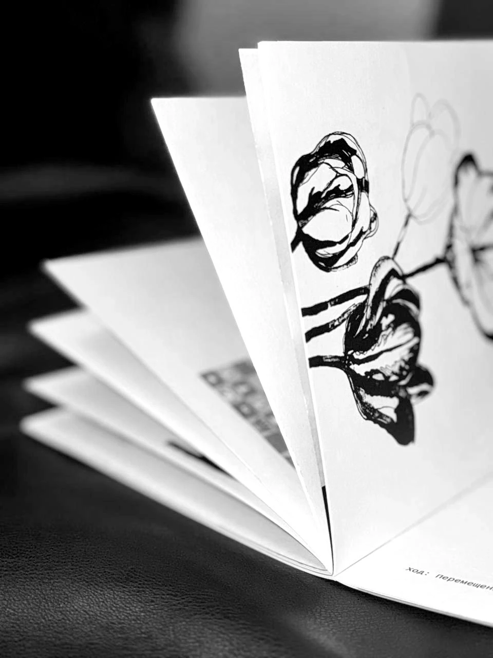 Зин «Словарь шахматных терминов» — Изображение №19 — Иллюстрация, Графика на Dprofile