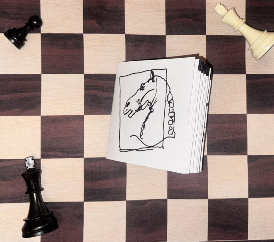 Зин «Словарь шахматных терминов» — Изображение №2 — Иллюстрация, Графика на Dprofile