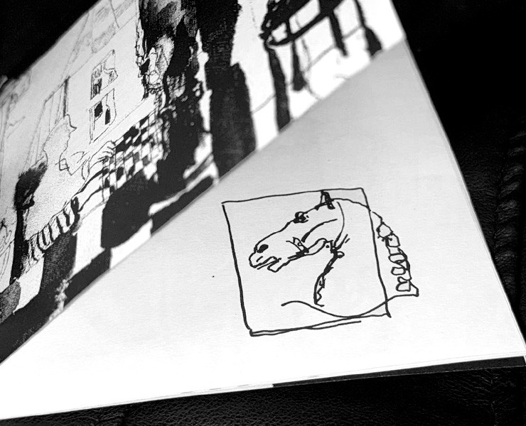 Зин «Словарь шахматных терминов» — Иллюстрация, Графика на Dprofile