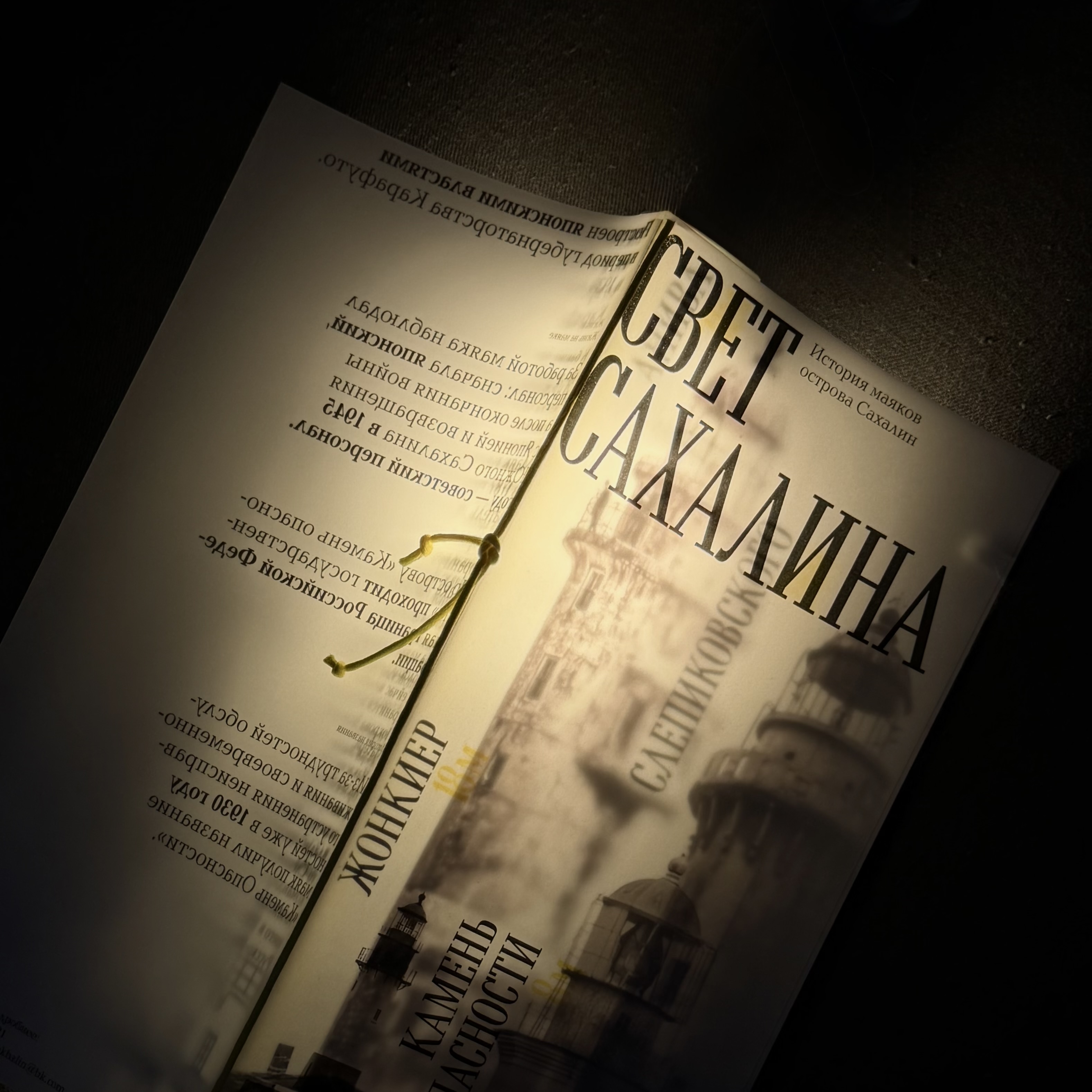 Свет Сахалина — Изображение №2 — Интерфейсы, Брендинг на Dprofile