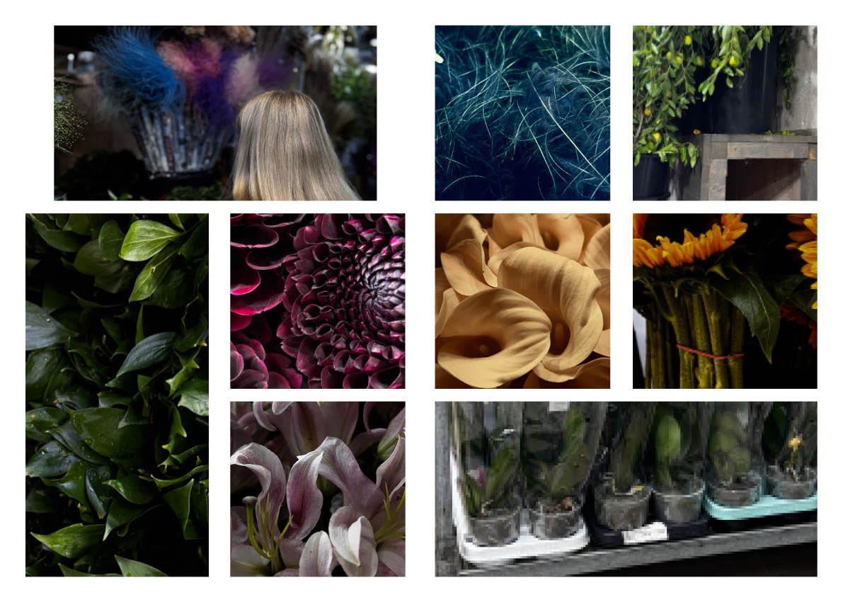 Рижский рынок + Тим Бёртон — Изображение №5 — Брендинг, Графика на Dprofile