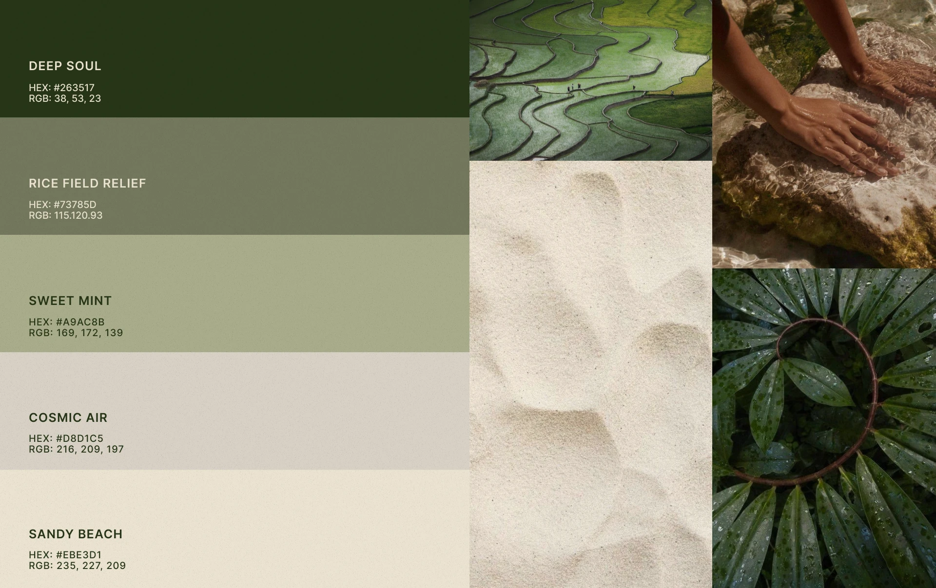 touch. фирменный стиль для йога-студии | брендинг — Изображение №5 — Интерфейсы, Брендинг на Dprofile