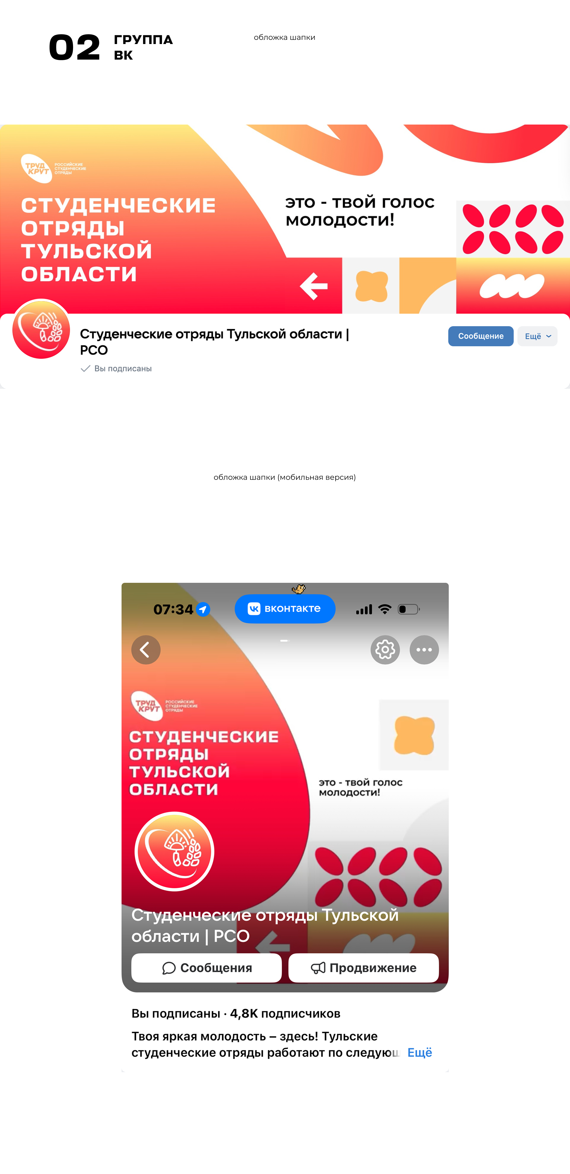 Брендинг Студенческих Отрядов Тульской Области | РСО — Изображение №3 — Брендинг на Dprofile