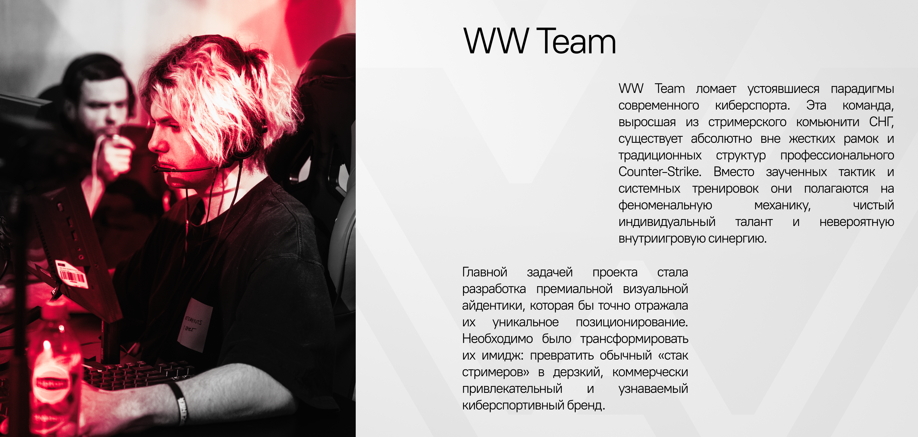 WW Team Re-Branding — Изображение №2 — Брендинг, Графика на Dprofile