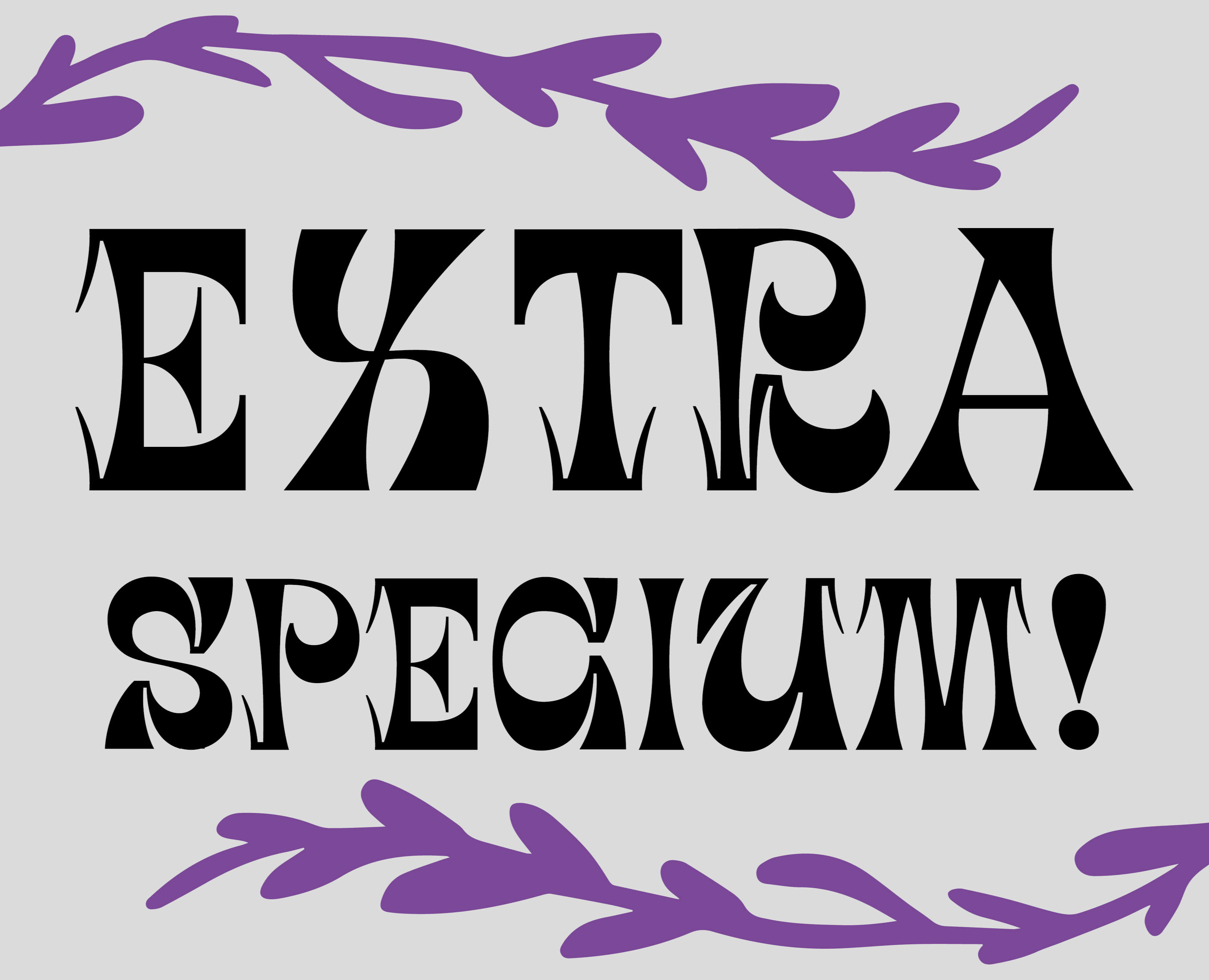 EXTRA SPECIUM! | Упаковка — Интерфейсы, Брендинг на Dprofile