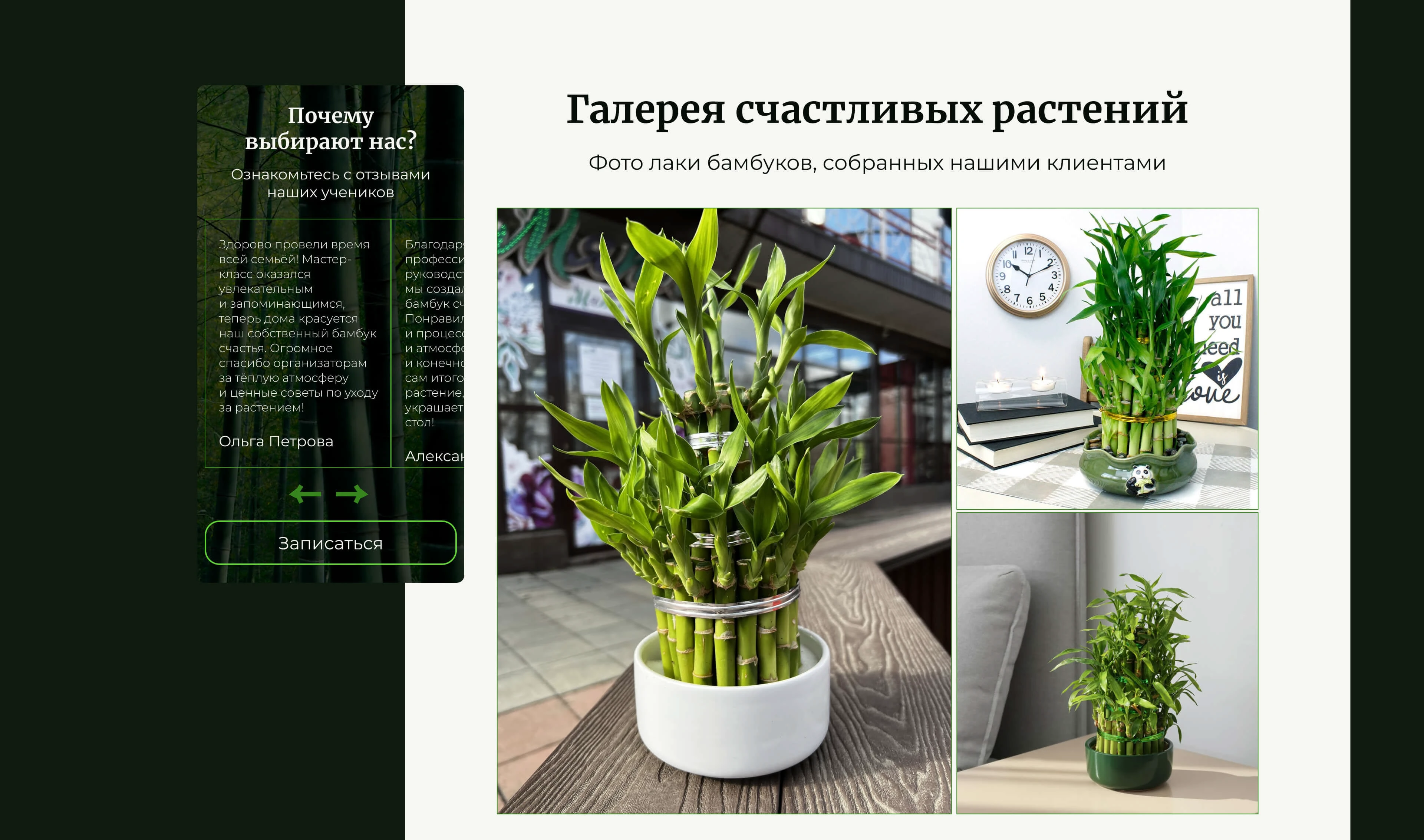 BLISSFUL BAMBOO | Website for a floristry studio — Изображение №11 — Интерфейсы на Dprofile