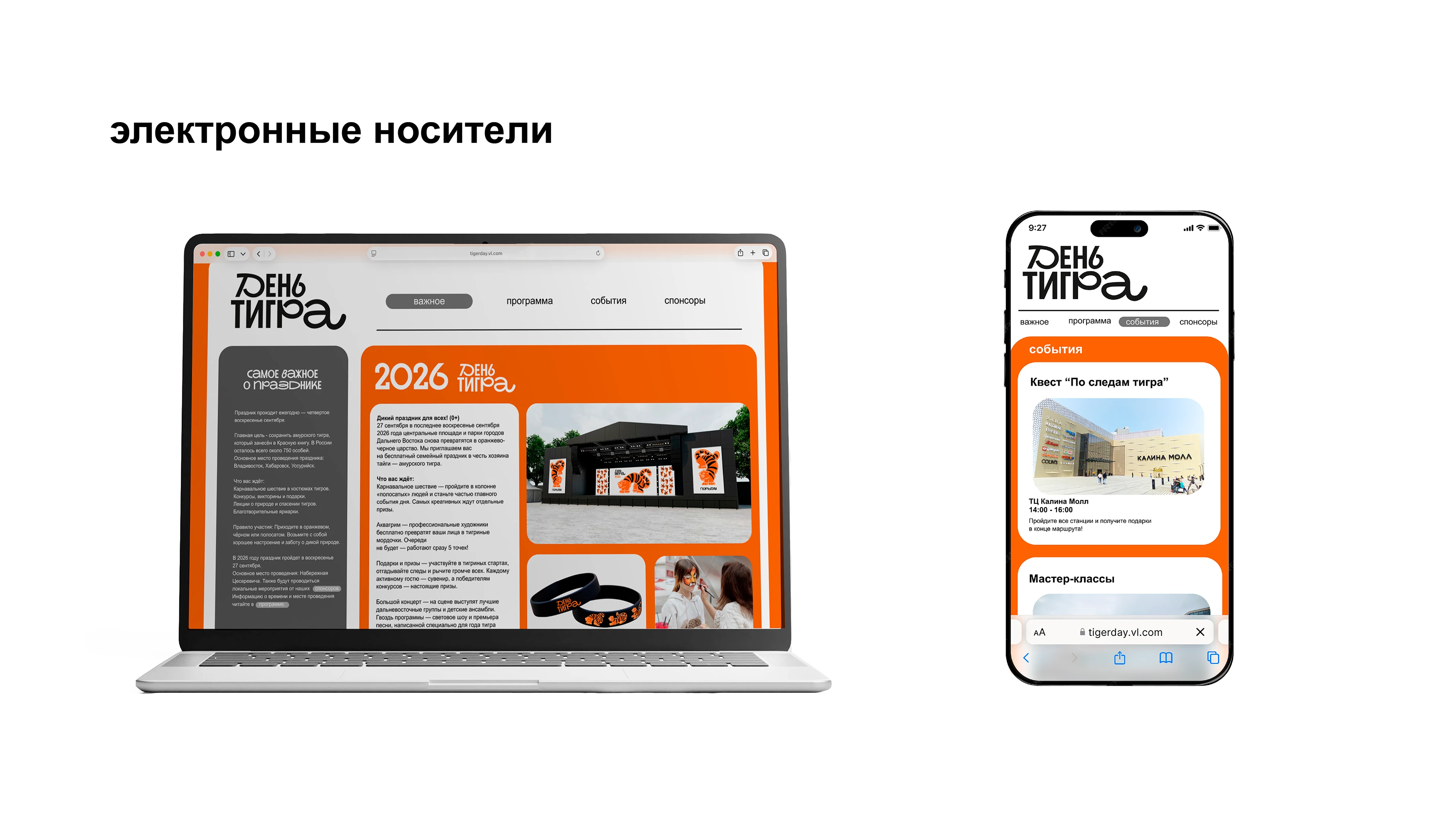 день тигра — Изображение №10 — Интерфейсы на Dprofile