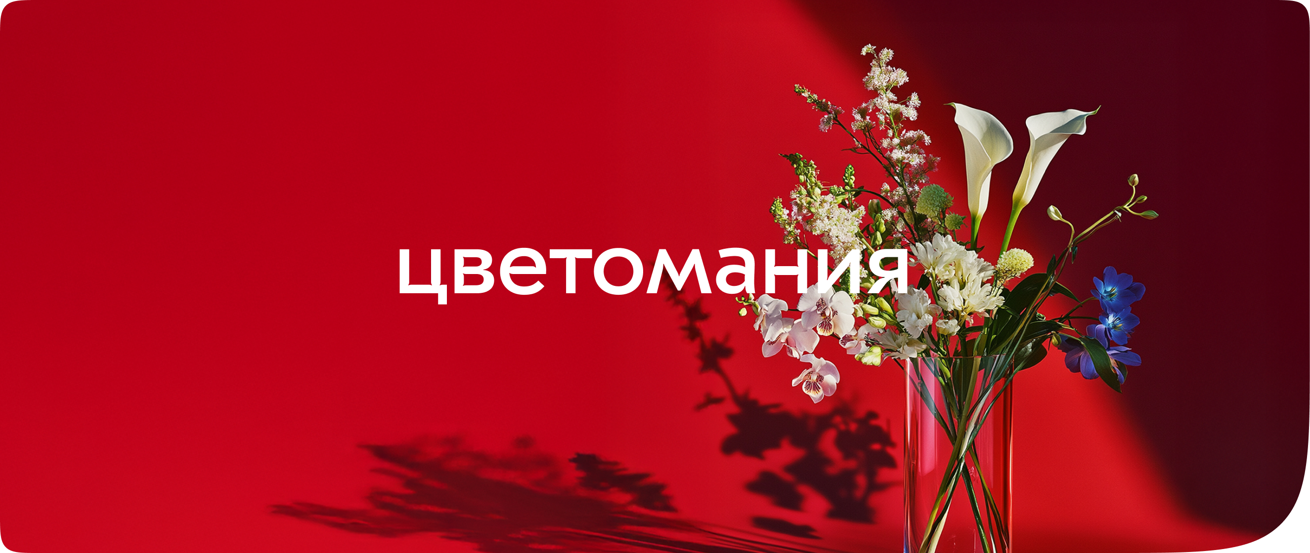 Ребрендинг для федеральной сети цветочных магазинов — Изображение №1 — Брендинг, Графика на Dprofile