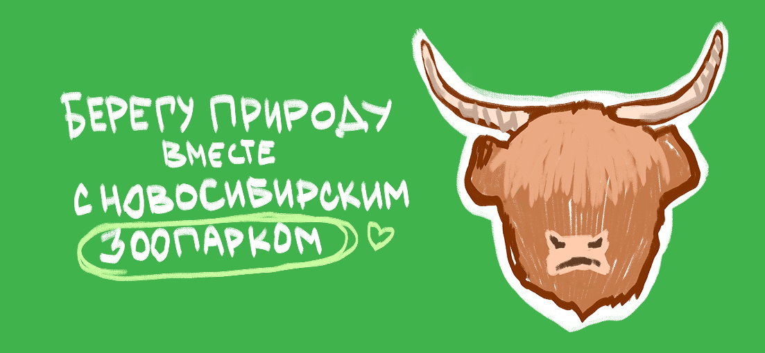 Новосибирский зоопарк — Изображение №5 — Интерфейсы, Брендинг на Dprofile
