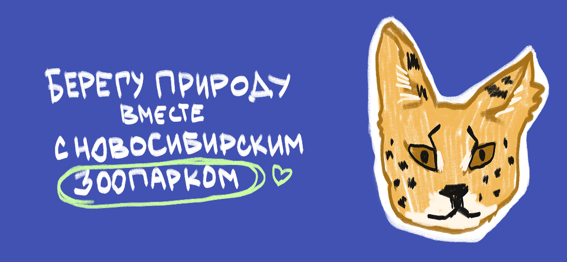 Новосибирский зоопарк — Изображение №7 — Интерфейсы, Брендинг на Dprofile