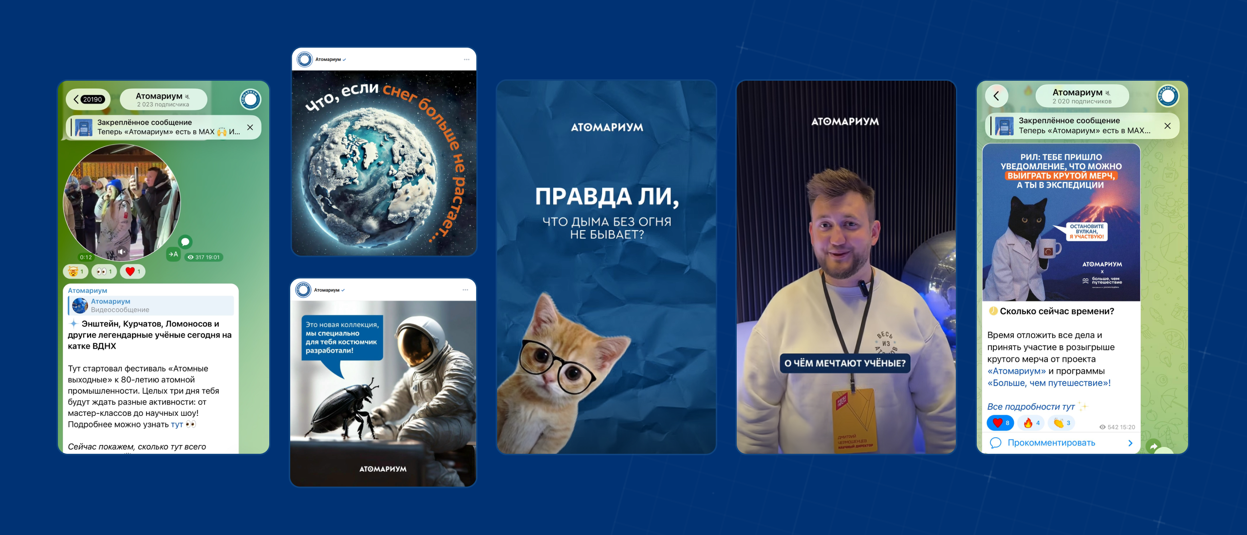 Просветительский проект «Атомариум» — Изображение №7 — Графика, Маркетинг на Dprofile