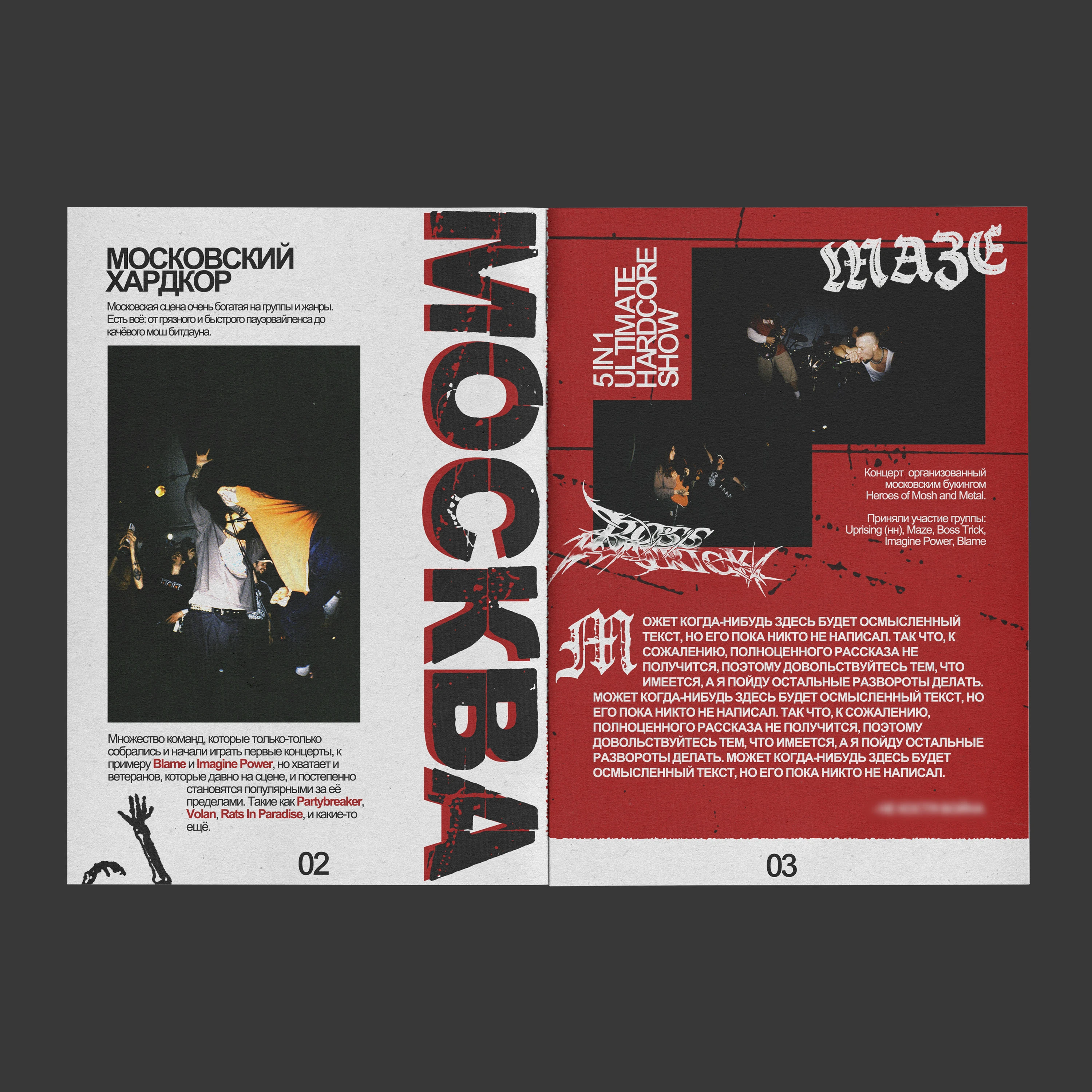 Hardcore fanzine — Изображение №2 — Графика на Dprofile