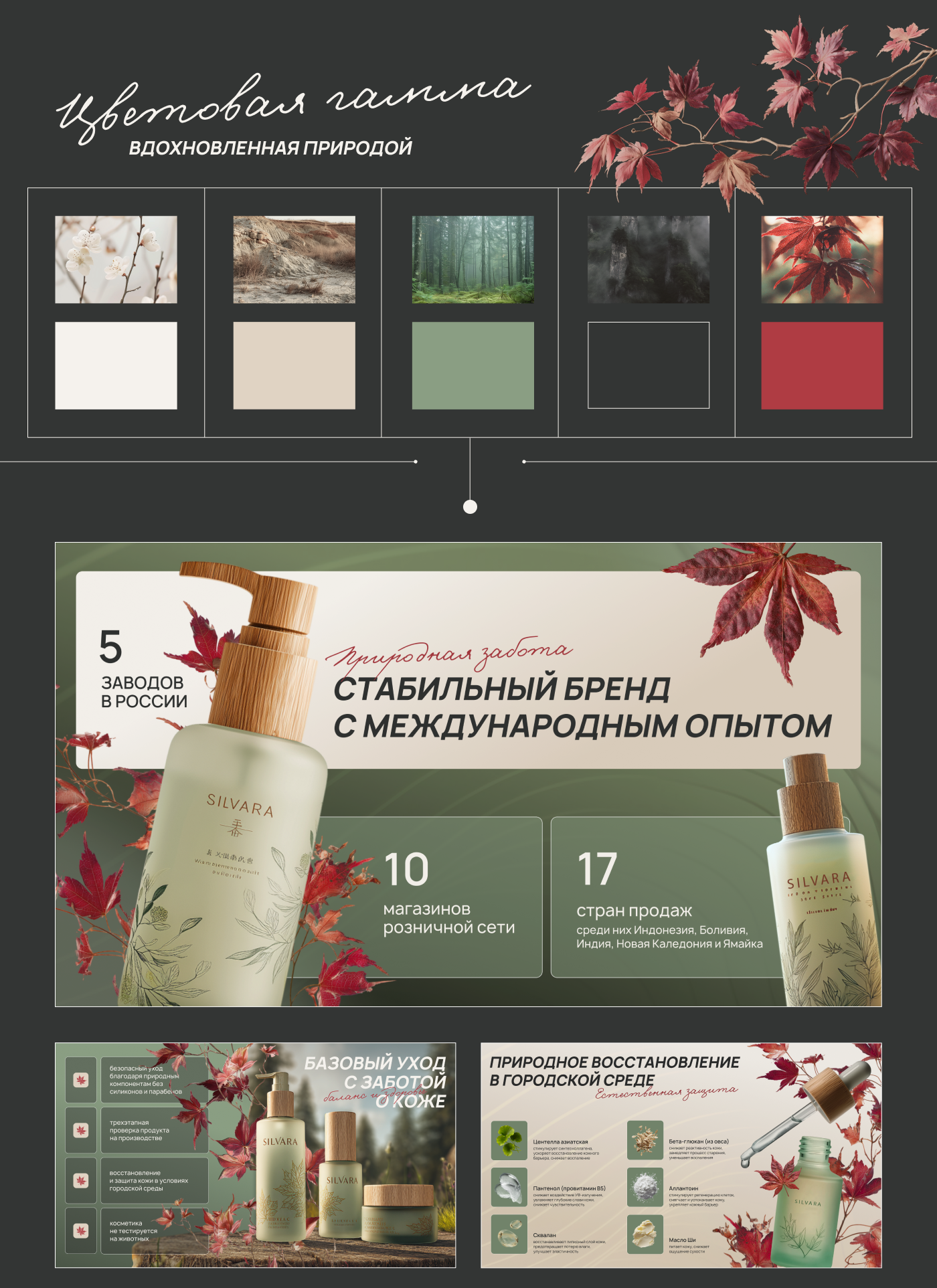 Коммерческое предложение для бренда — Изображение №8 — Интерфейсы, Маркетинг на Dprofile