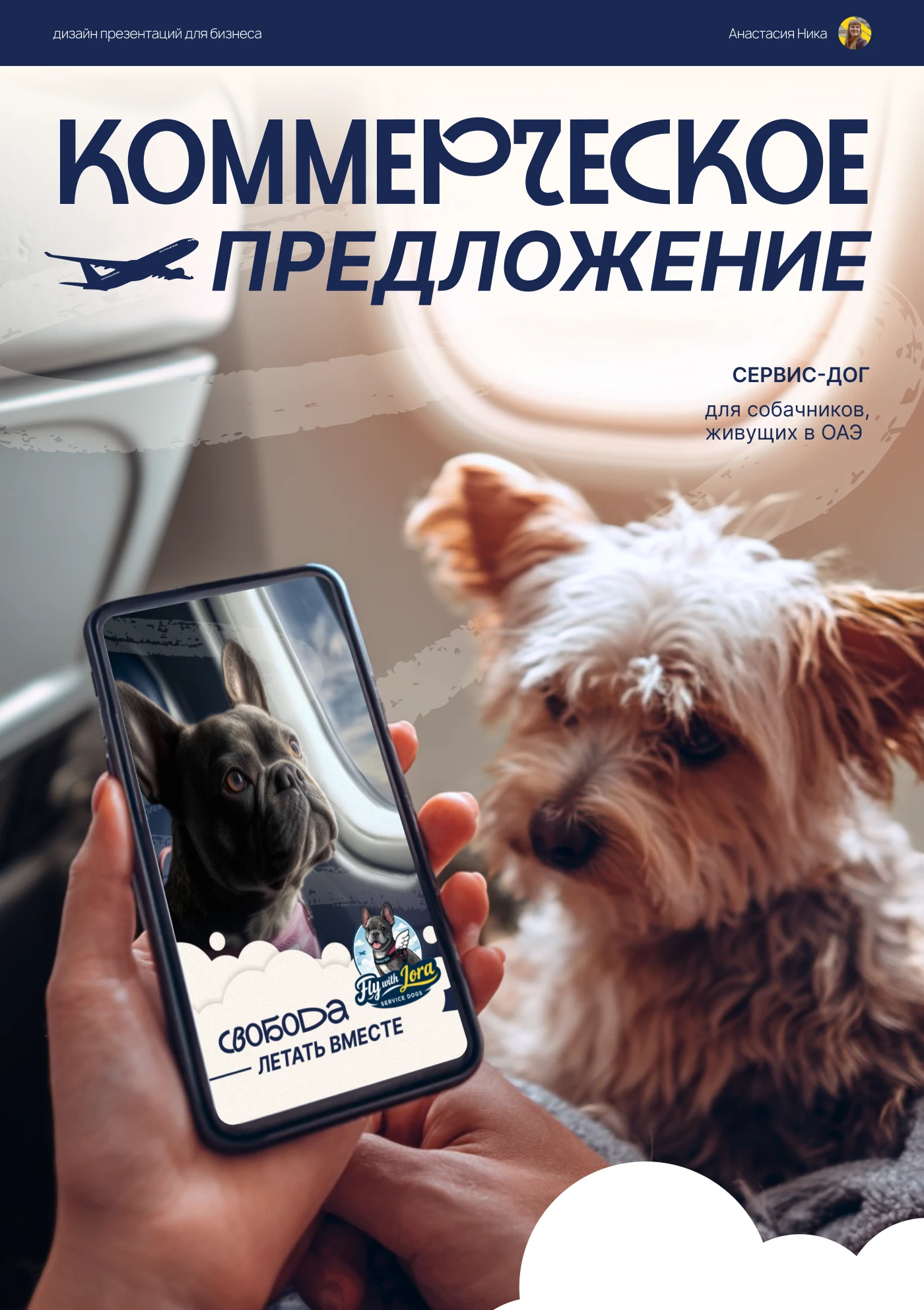 Коммерческое предложение для сервиса — Изображение №1 — Графика, Маркетинг на Dprofile