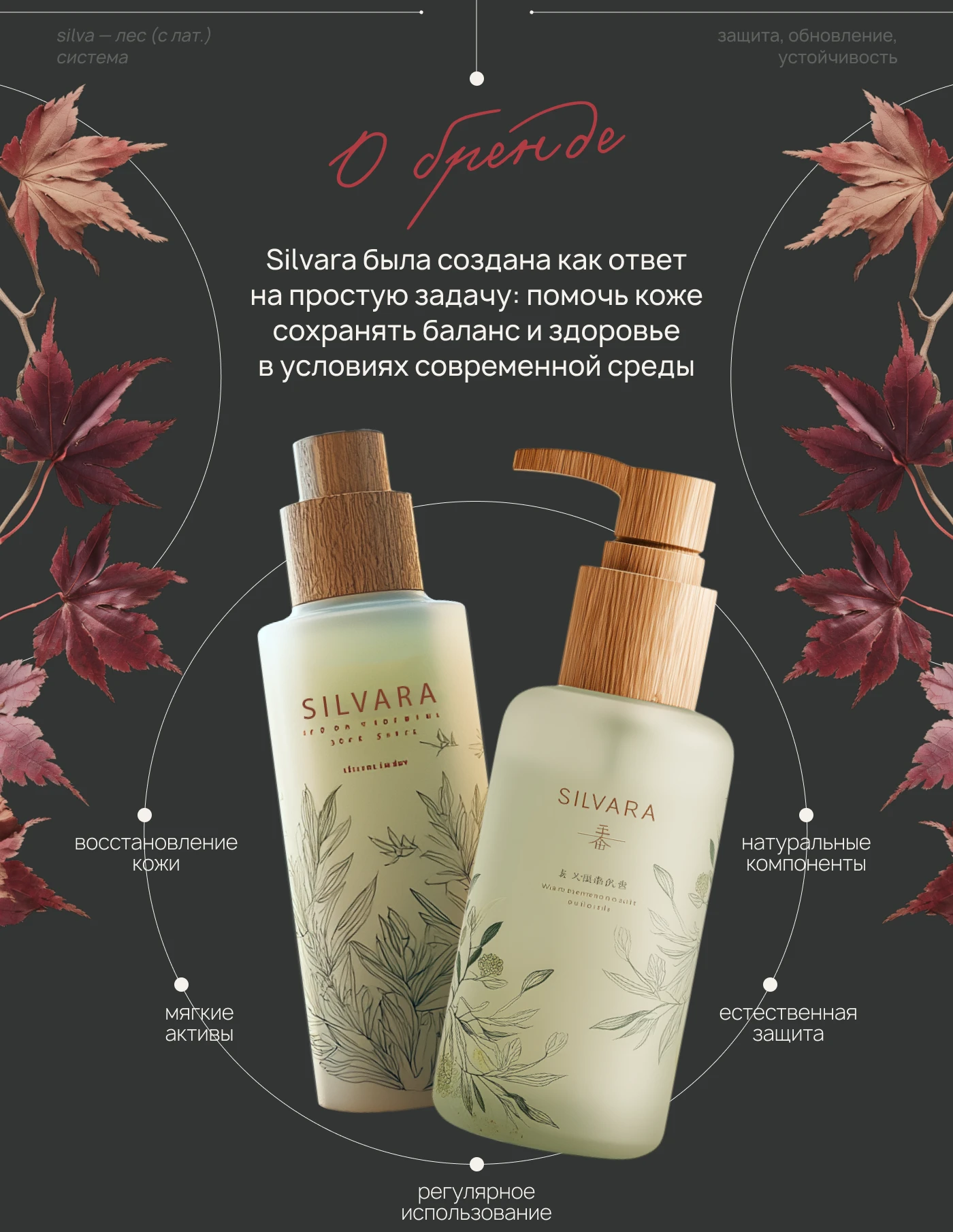 Коммерческое предложение для бренда — Изображение №4 — Интерфейсы, Маркетинг на Dprofile