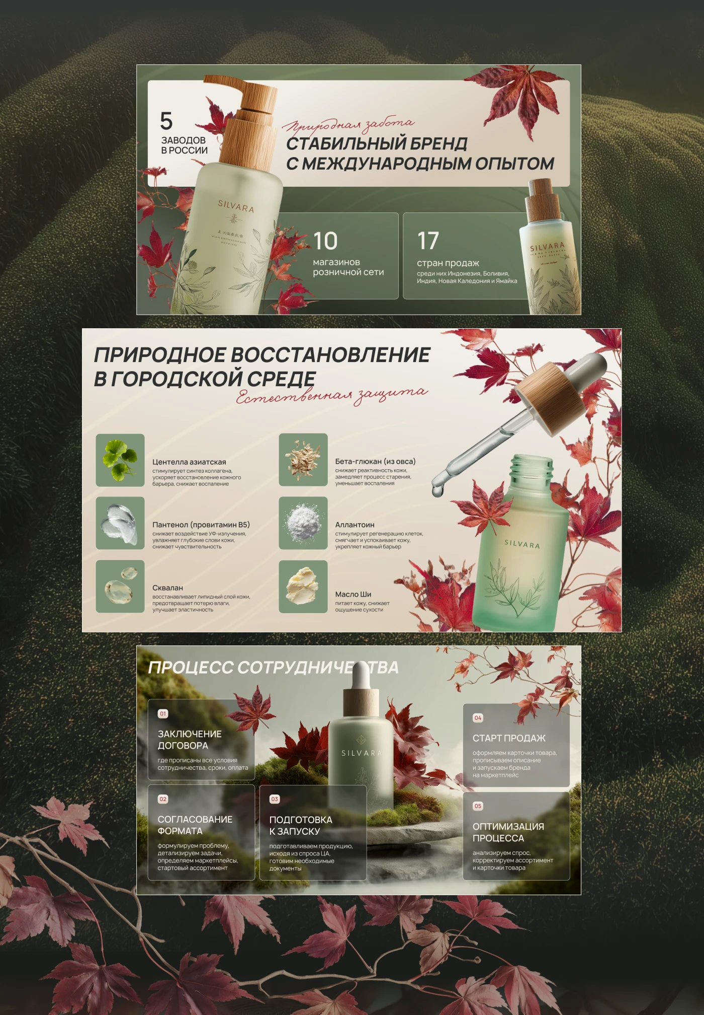 Коммерческое предложение для бренда — Изображение №5 — Интерфейсы, Маркетинг на Dprofile