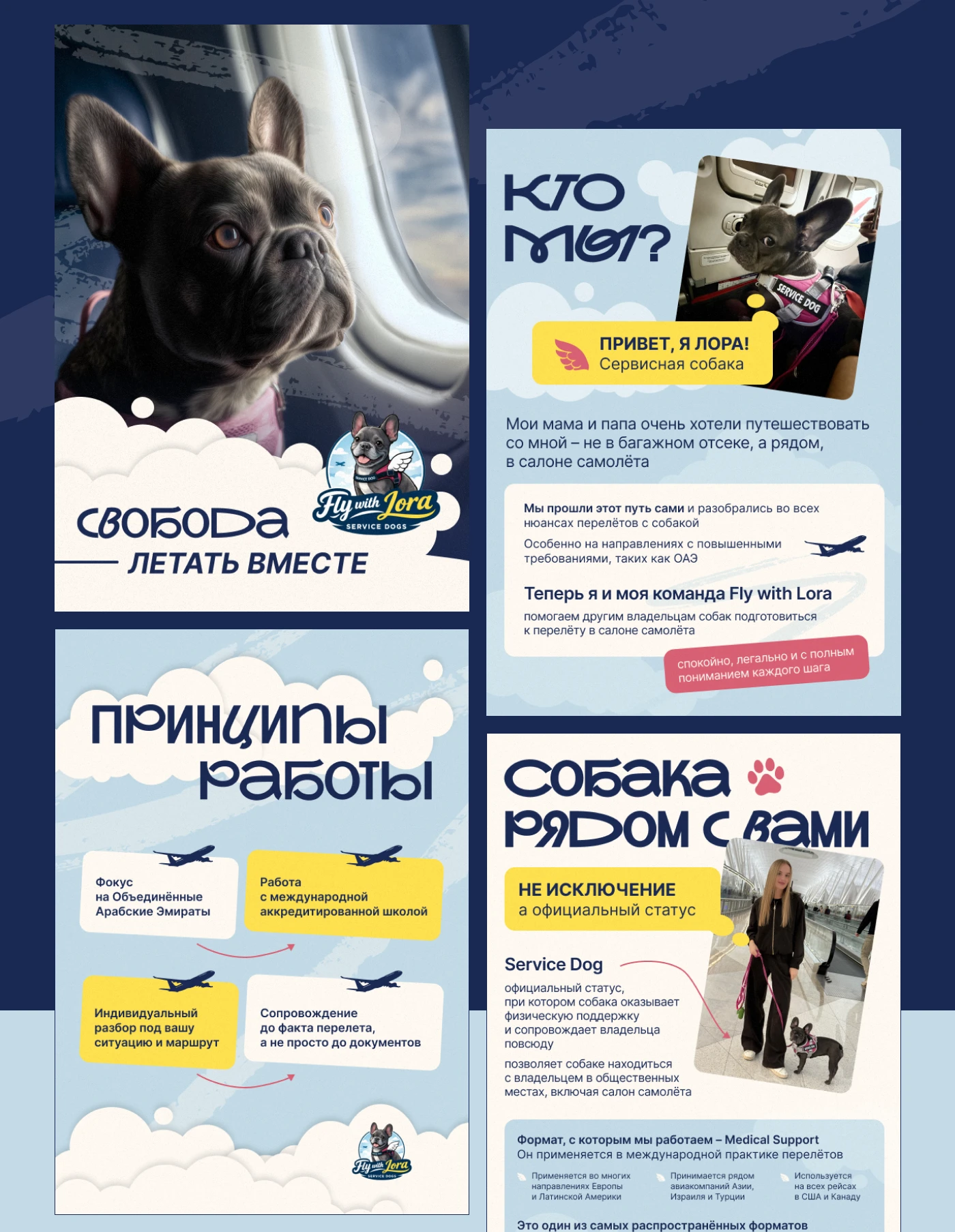 Коммерческое предложение для сервиса — Изображение №11 — Графика, Маркетинг на Dprofile