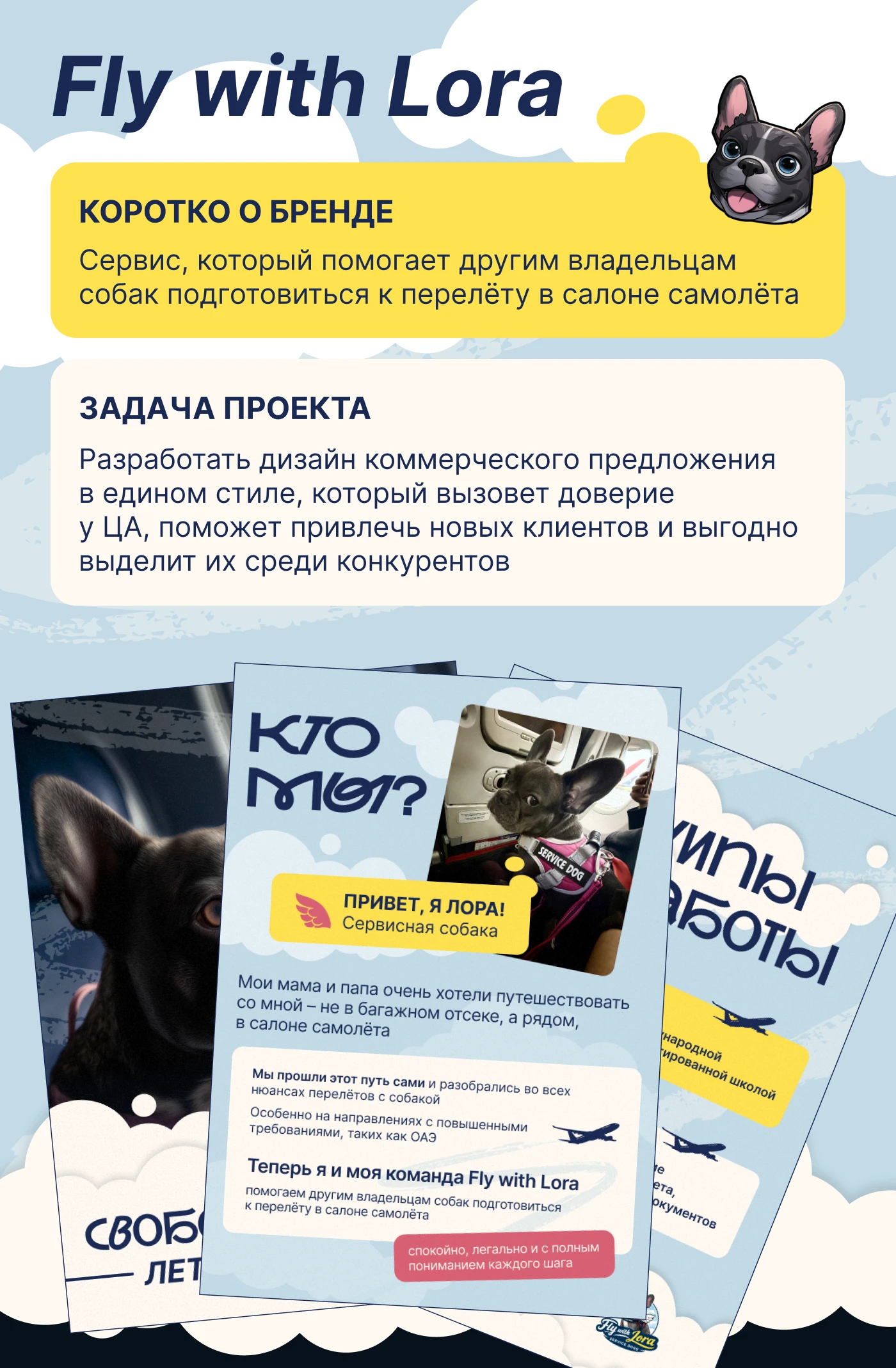 Коммерческое предложение для сервиса — Изображение №2 — Графика, Маркетинг на Dprofile