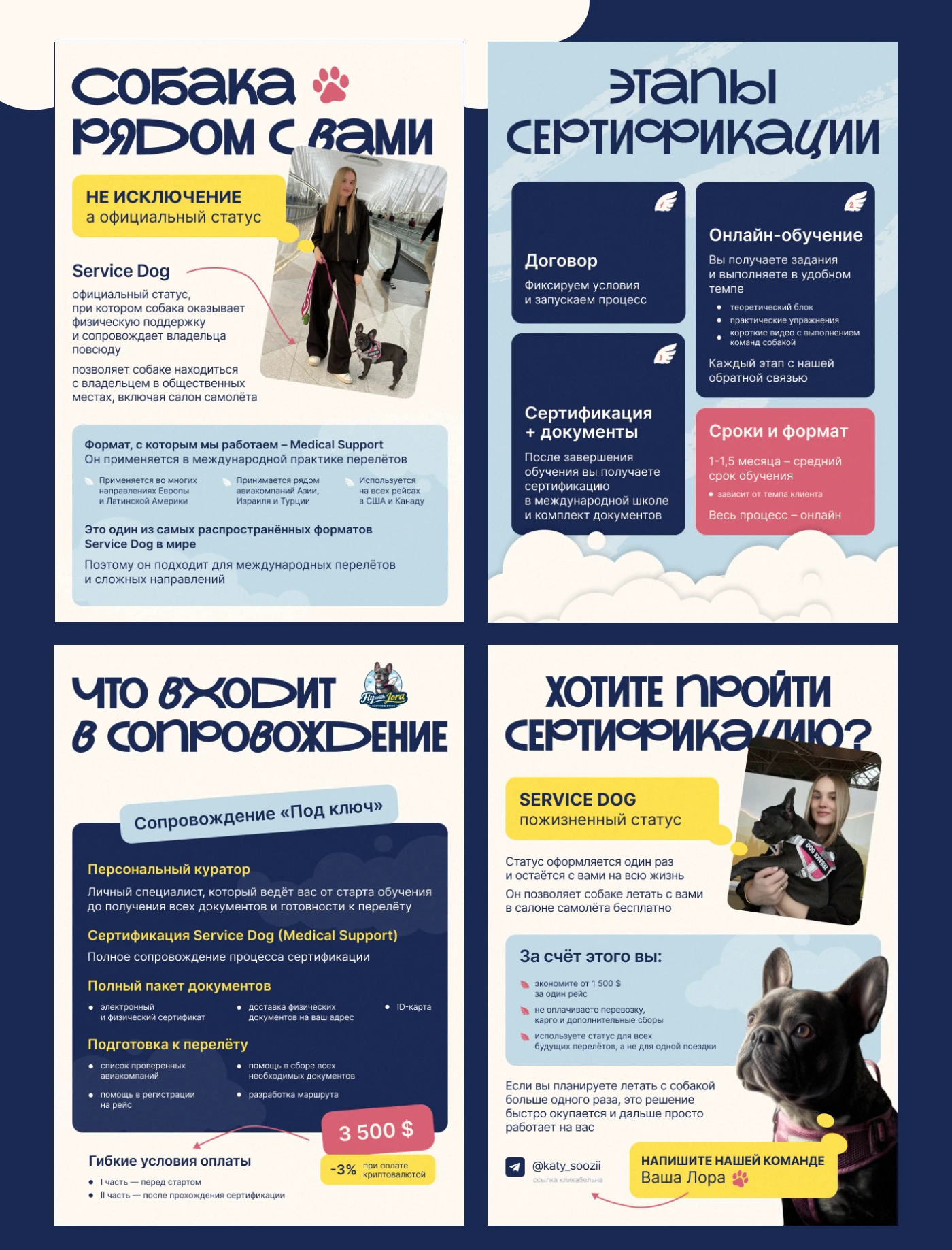 Коммерческое предложение для сервиса — Изображение №7 — Графика, Маркетинг на Dprofile