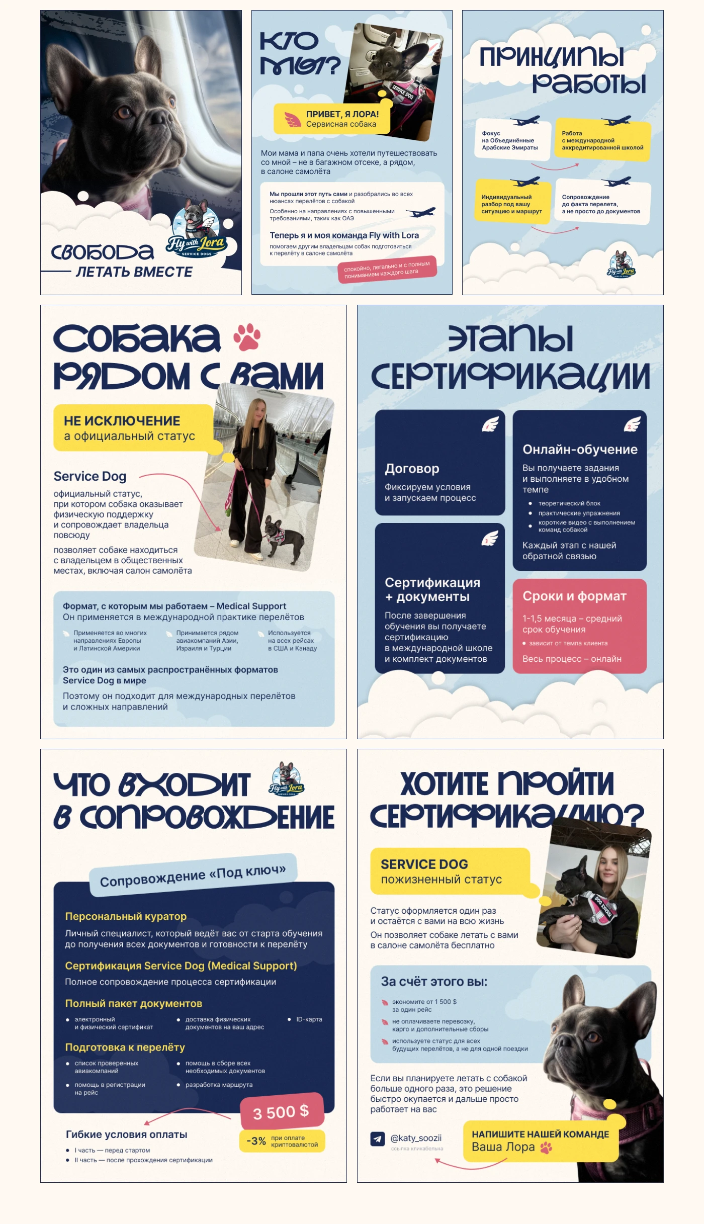 Коммерческое предложение для сервиса — Изображение №9 — Графика, Маркетинг на Dprofile